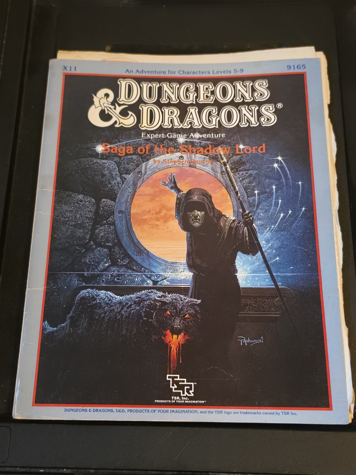 MODULE – X11 – SAGA OF THE SHADOW LORD DUNGEONS DRAGONS