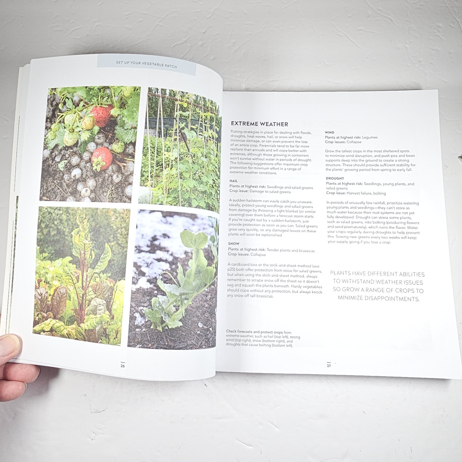 Grow Food For Free: The Sustainable, Zero-Cost, Low-Effort Way by Huw Richards