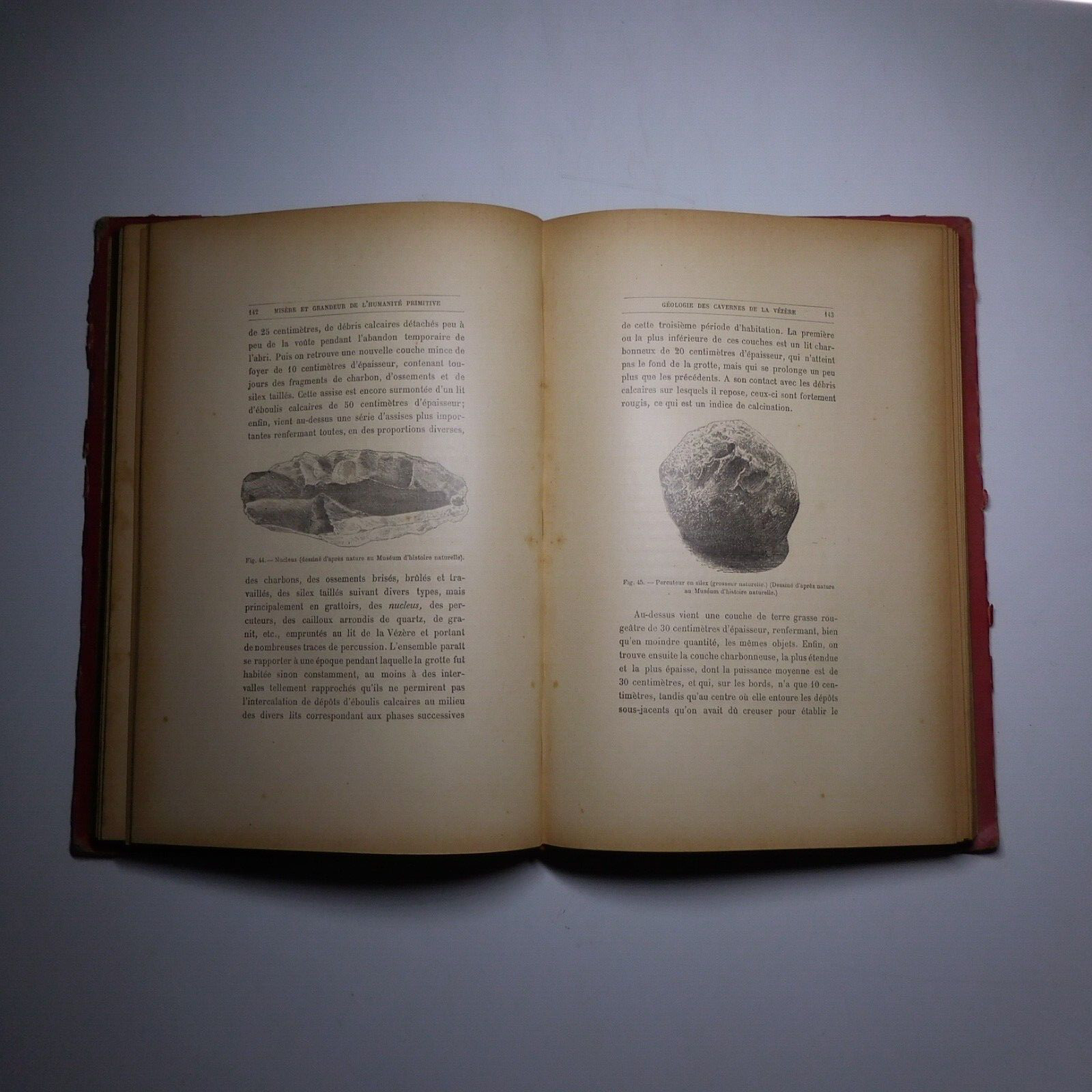 N25.4 Misery Size Humanity Primitive 1889 Illustrated Anthropology Mrs. Meunier