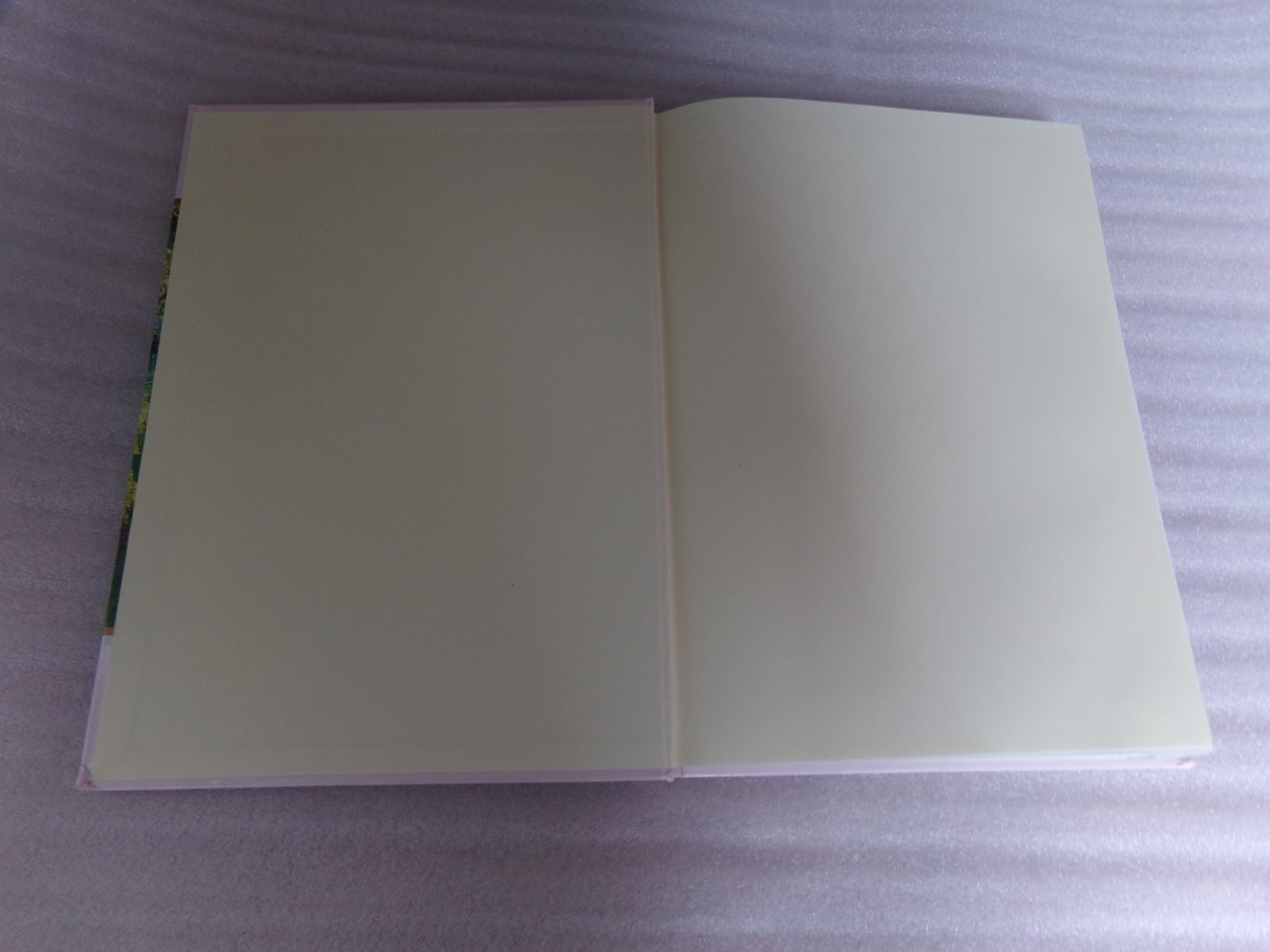 Chosen By Rosemary Sandberg Great Girl Stories Literature Book Treasury Classics