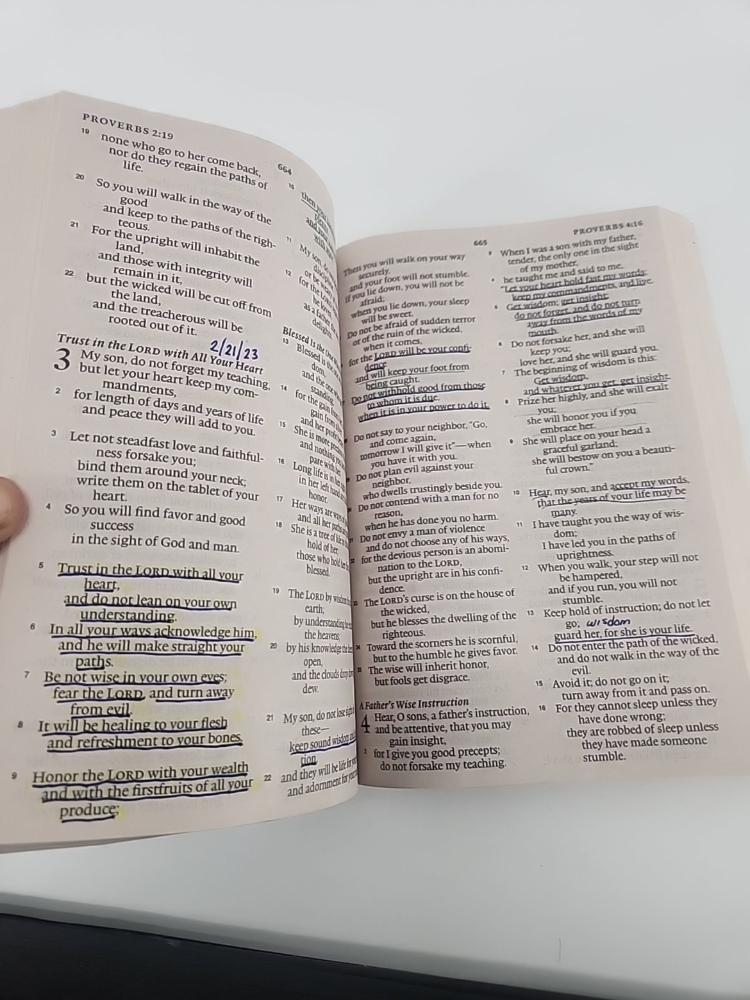 ESV Economy Bible, Giant Print by ESV Bibles