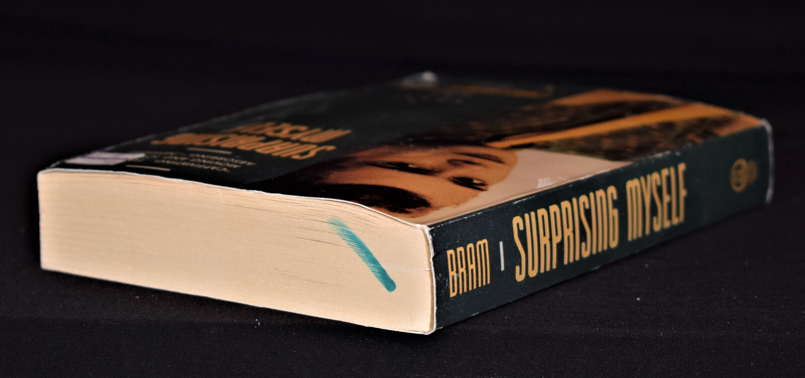 Surprising Myself – By Christopher Bram ~ Pages 424 ~ Paperback – GOOD