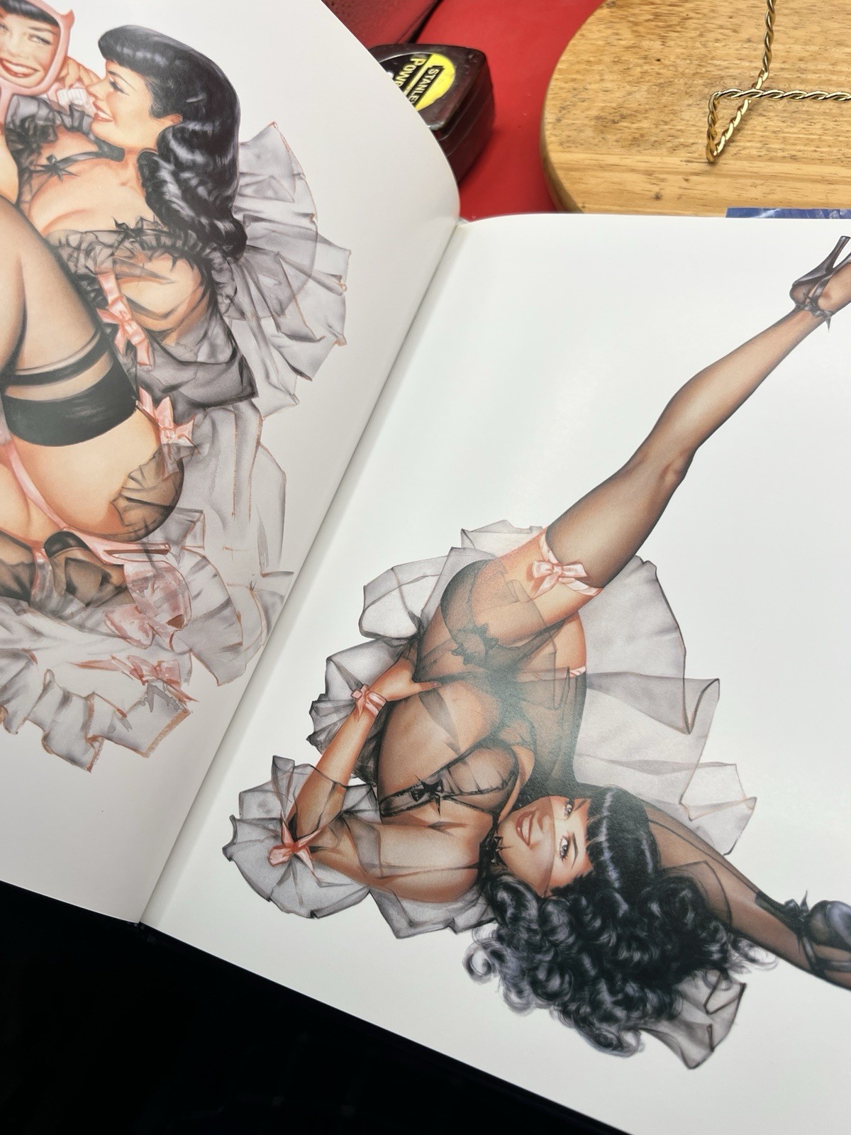 Bettie Page by Olivia 1st Edition Hardcover Art Book Olivia De Berardinis