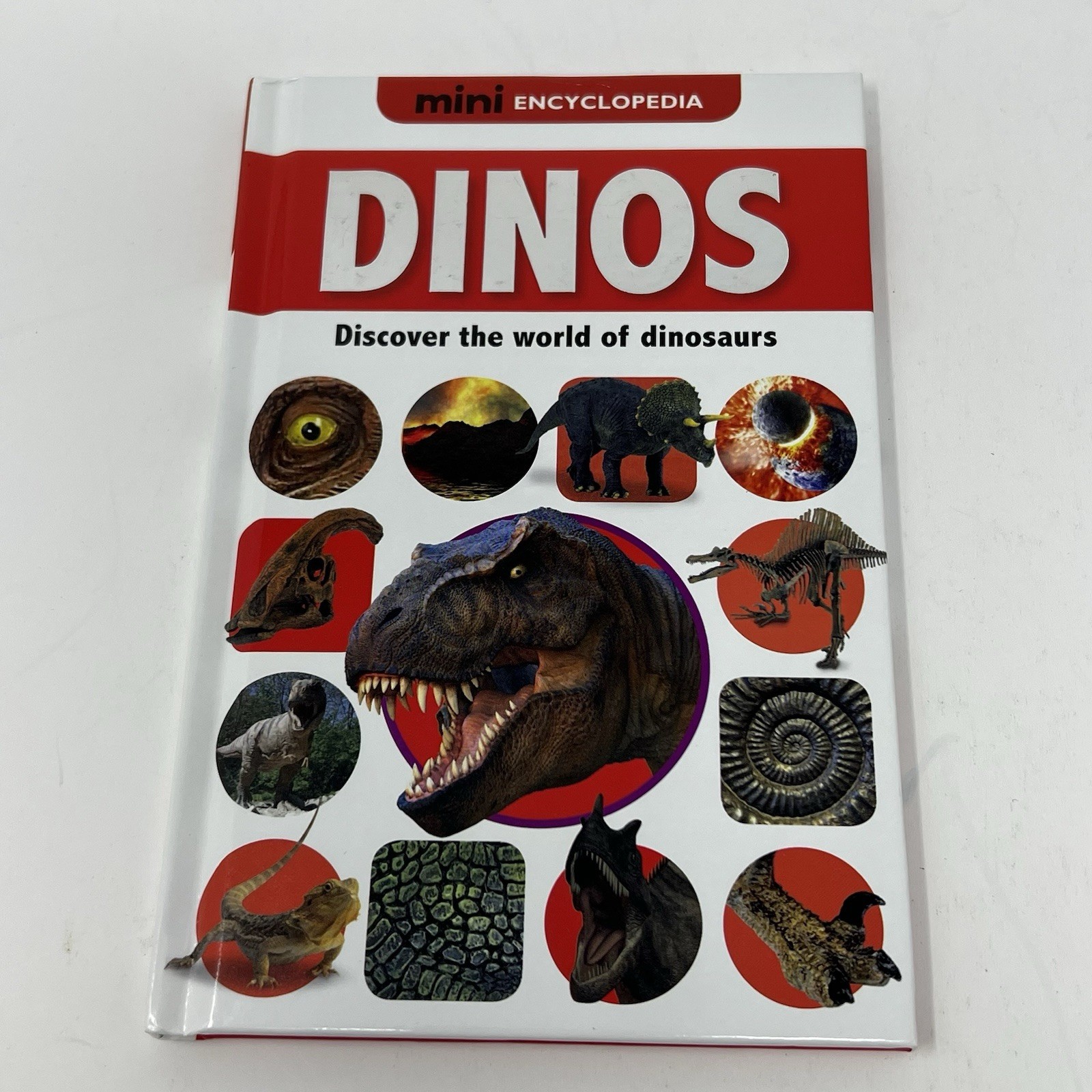 Children’s Mini Encyclopedia Lot of 2 Weather Dino’s New