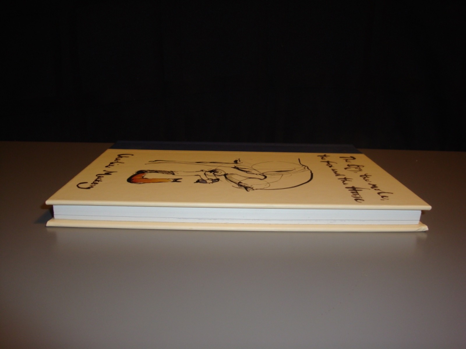 The Boy The Mole The Fox and the Horse Hardcover Charlie Mackesy Philosophy Art
