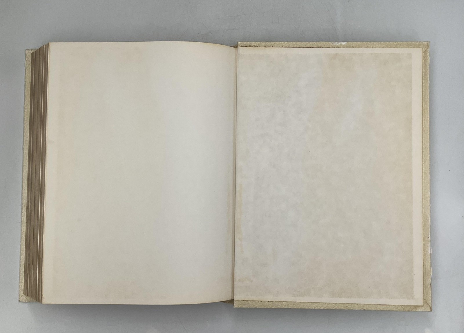 HOLY BIBLE HARDCOVER FAUX LEATHER BOUND ENGLISH RELIGIOUS