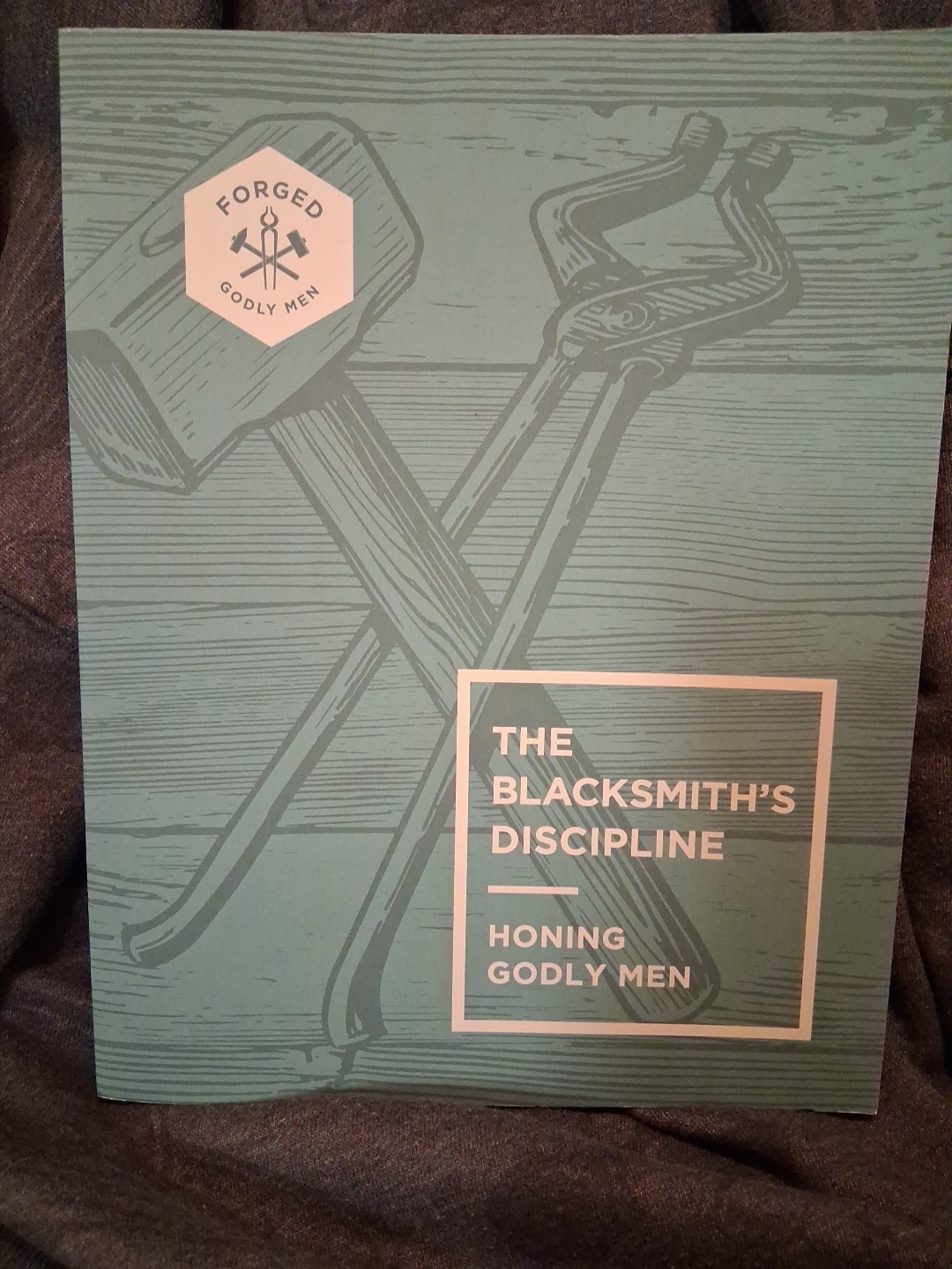 Blacksmith’s Discipline : Honing Godly Men by Vince Miller (2025, Trade.. D60