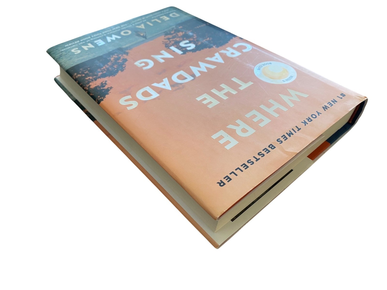 Where the Crawdads Sing by Delia Owens – hardcover edition