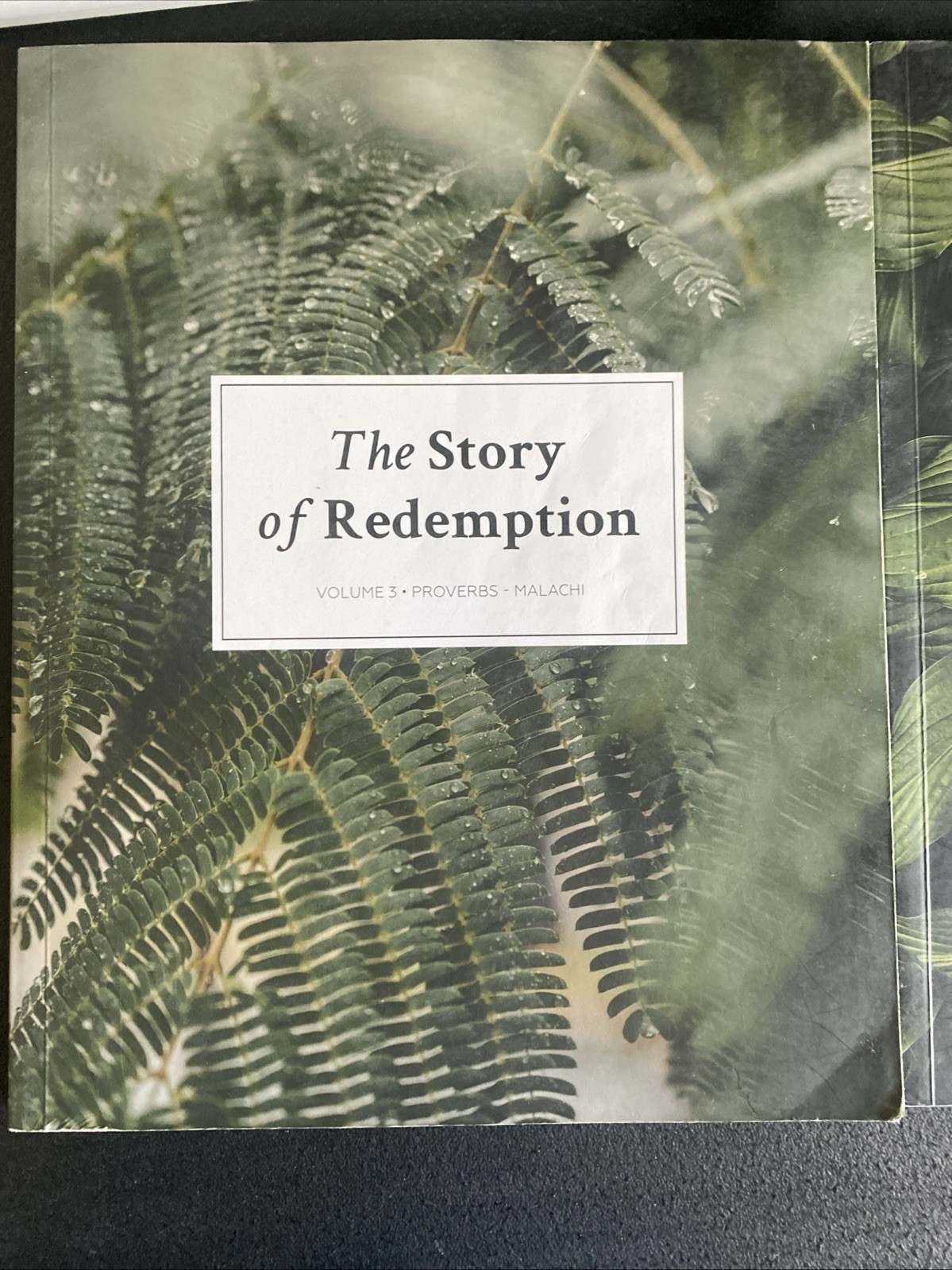 The Story Of Redemption All Volumes 1-4 The Daily Grace Company TPB
