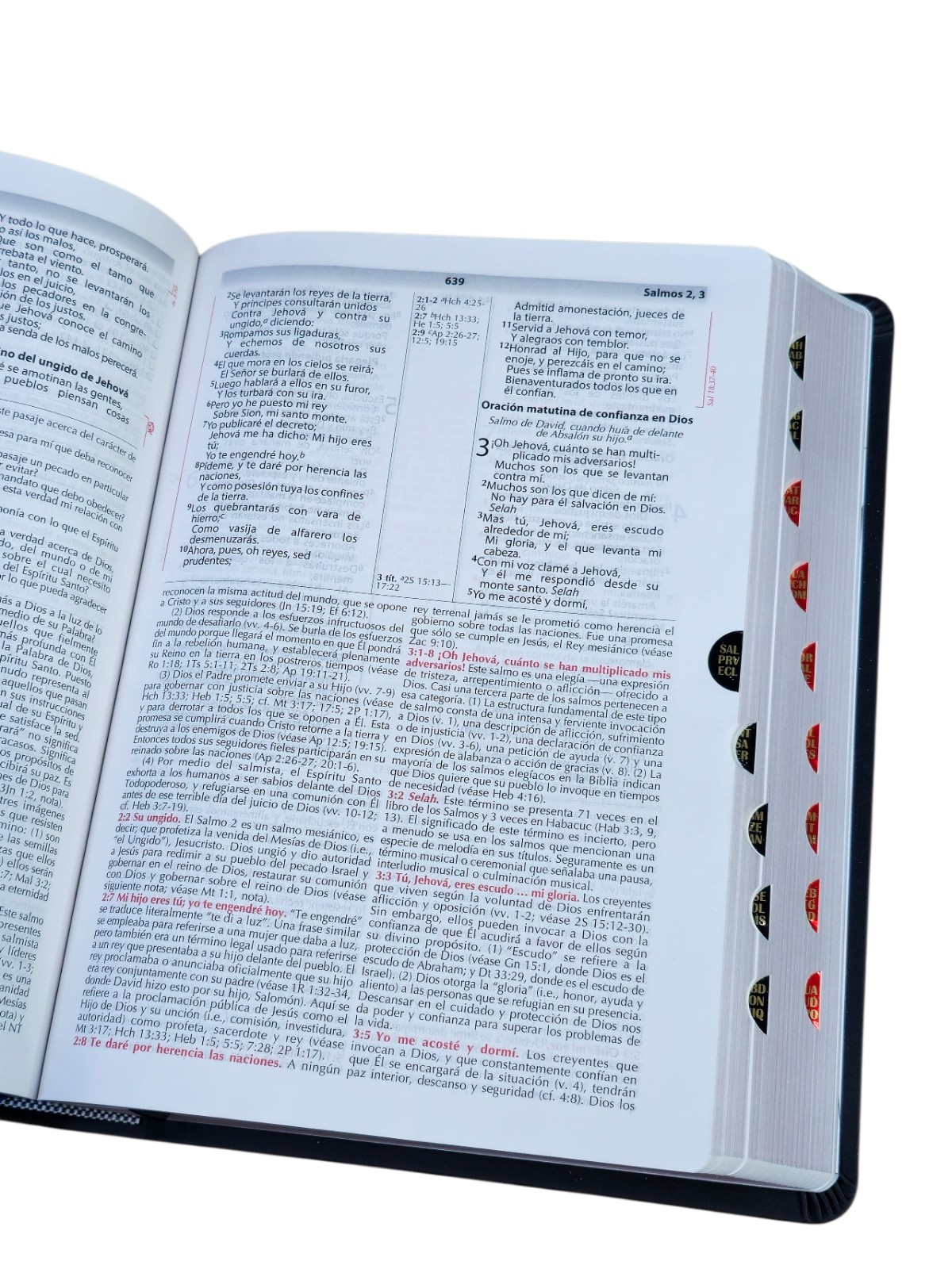 Biblia de Estudio de la Vida Plena Actualizada RV1960, piel negro Con Índice