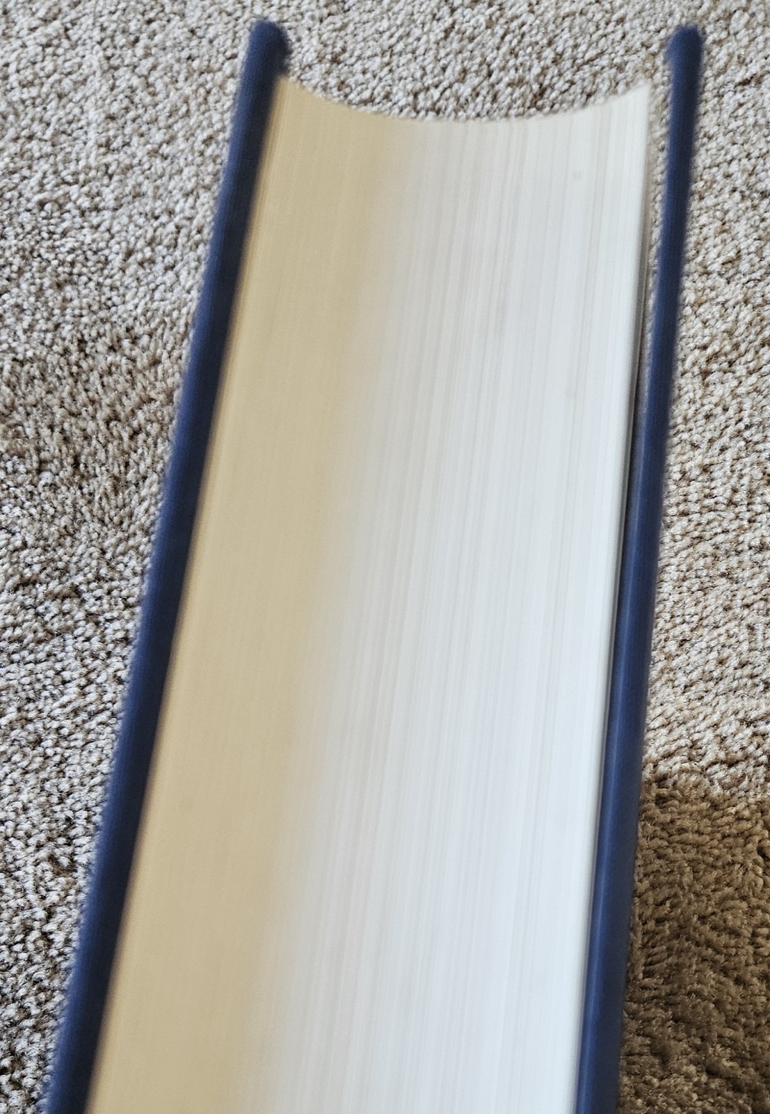 Matisse by Pierre. Schneider (1984, Hardcover) large 752 Pages, No Dust Jacket