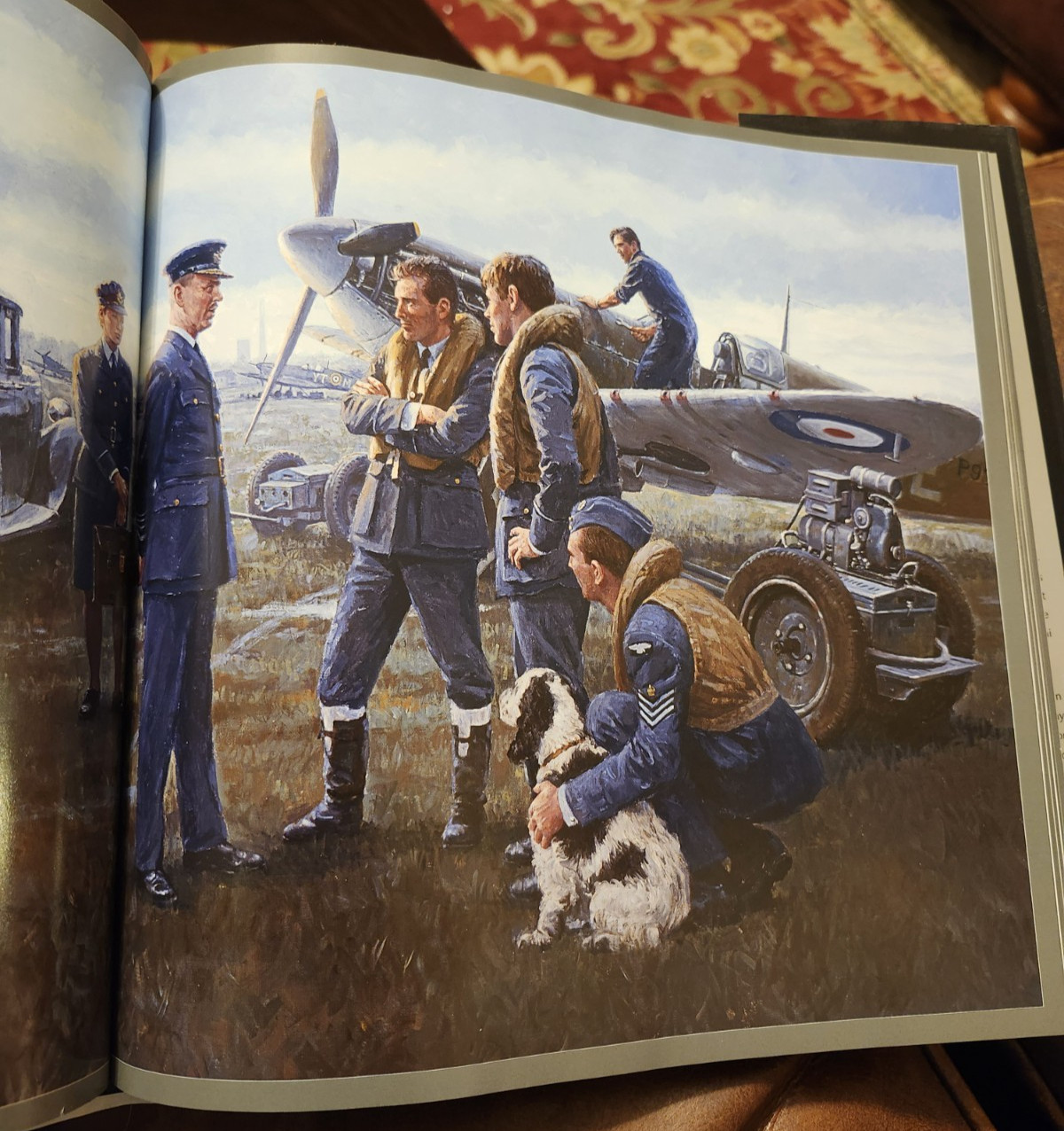 Gil Cohen, Aviation Artist, 1st, 2009, HBDJ, Color Illustrations, Nice!