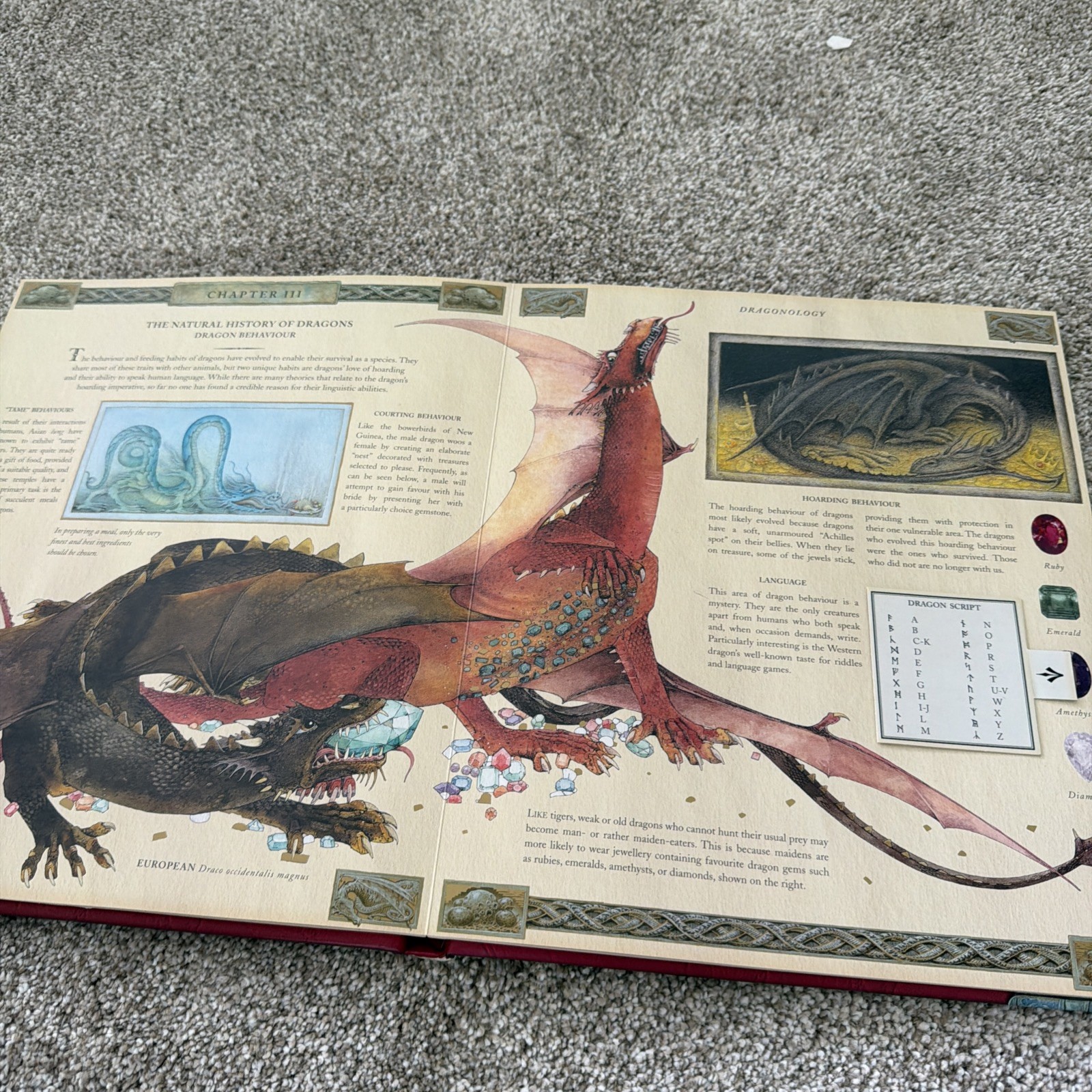 Ologies Ser.: Dragonology : The Complete Book of Dragons by Ernest Drake (2003,