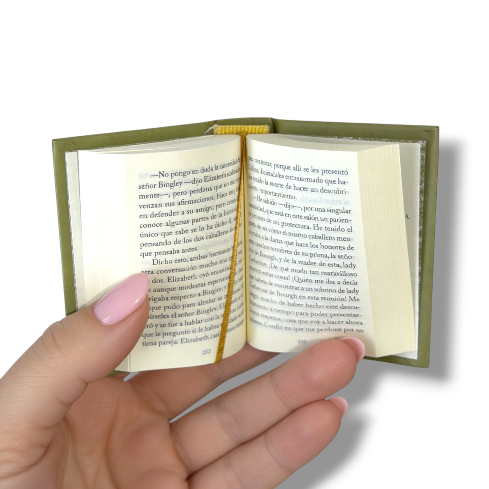 Orgullo y Prejuicio miniature book 2-vol set gold foil stamping 900pg slipcase