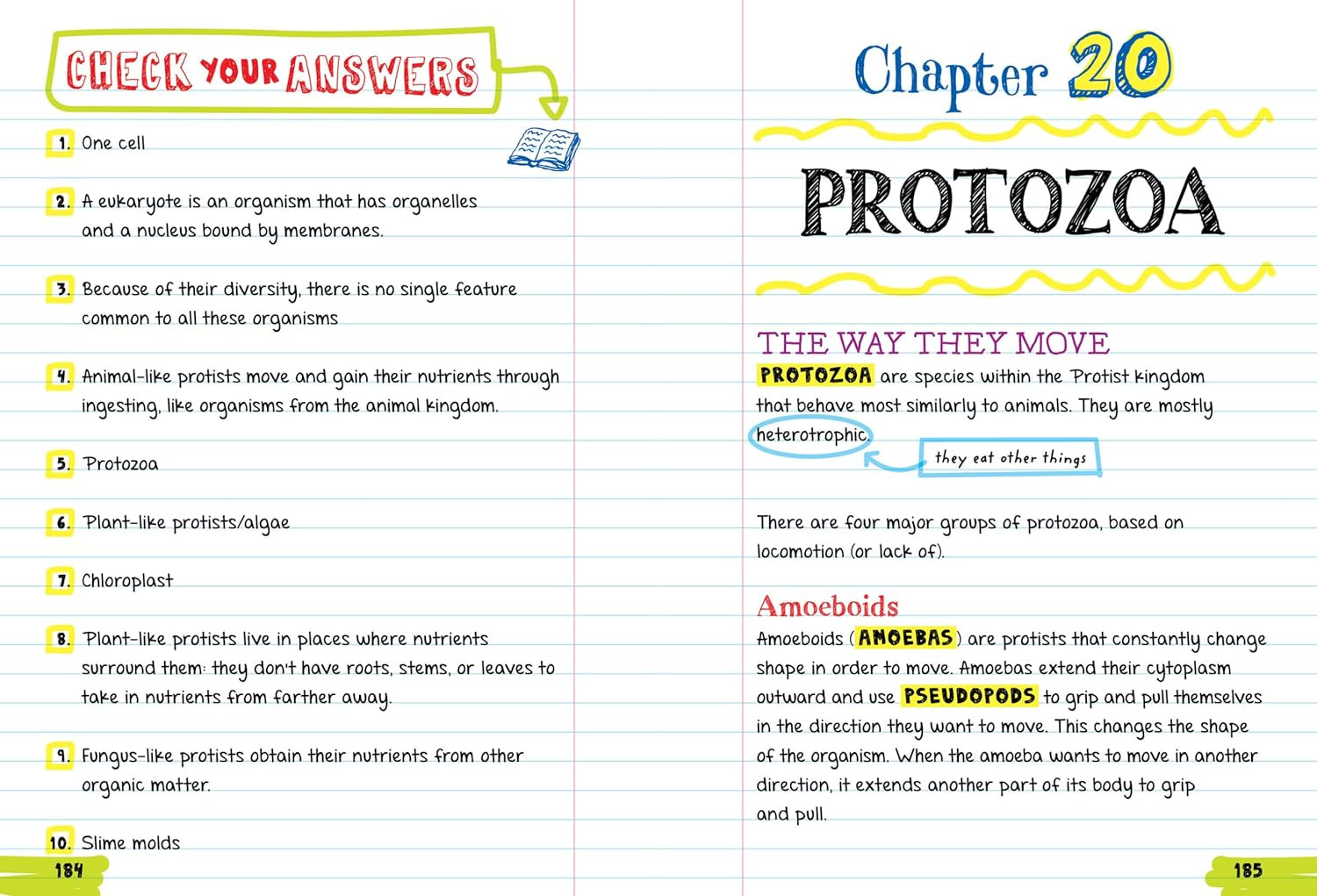 Everything You Need to Ace Biology in One Big Fat Notebook