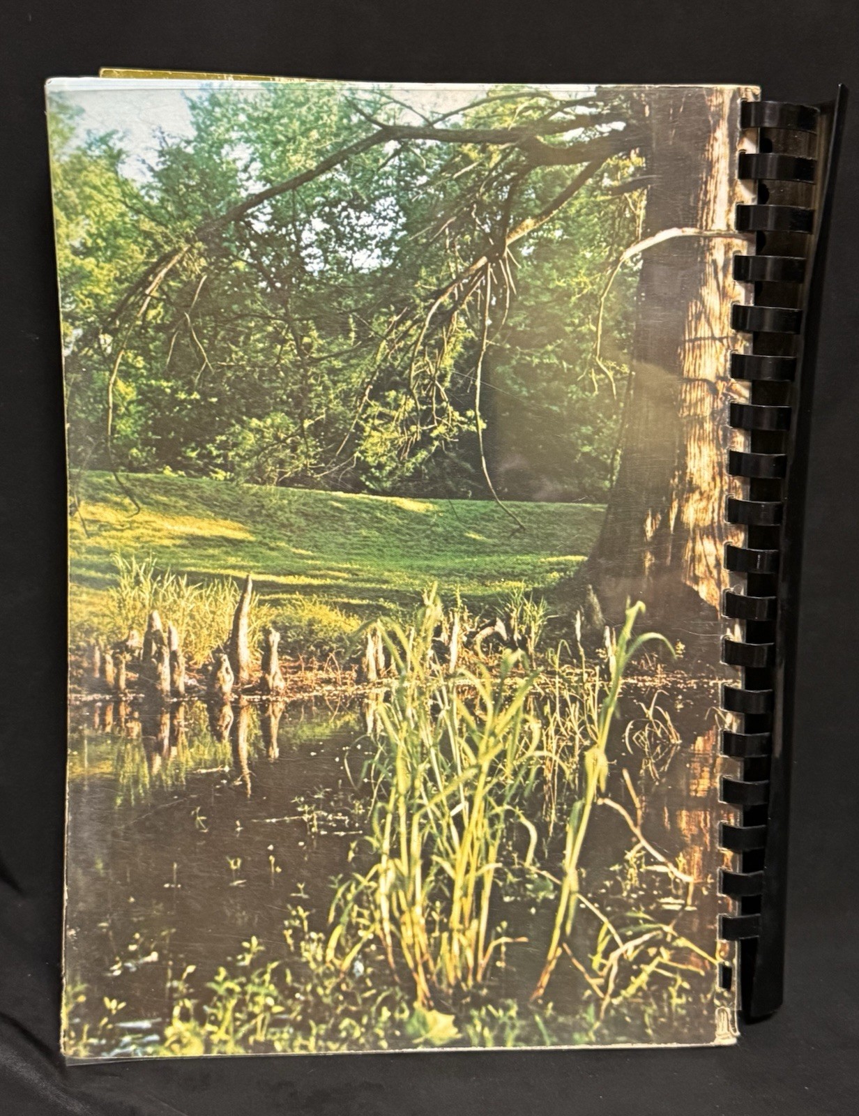Bayou Cuisine Indianola Mississippi St. Stephens Episcopal Cookbook 1970 1st Ed
