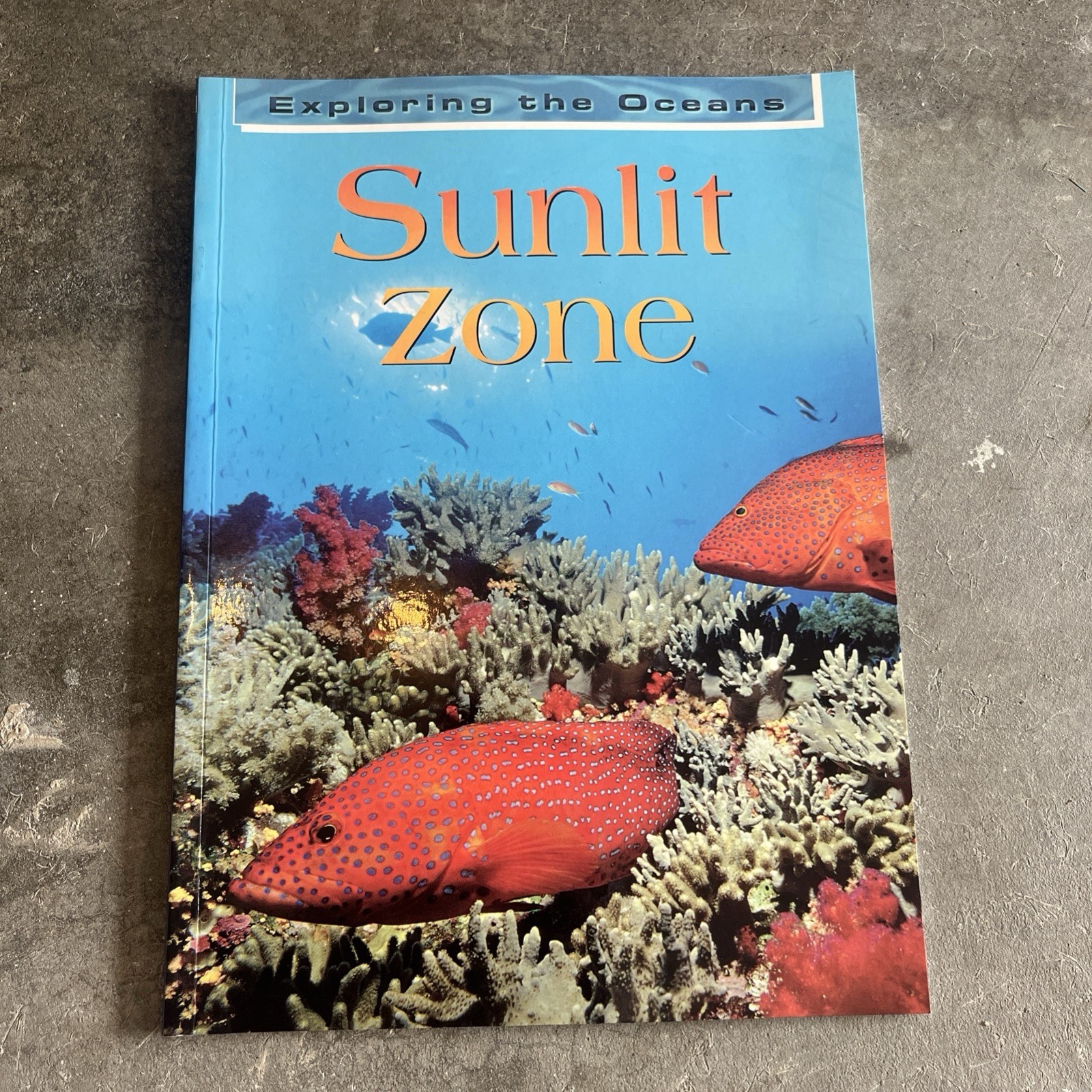 Exploring The Oceans: Sunlit Zone by John Woodward Paperback LIKE NEW