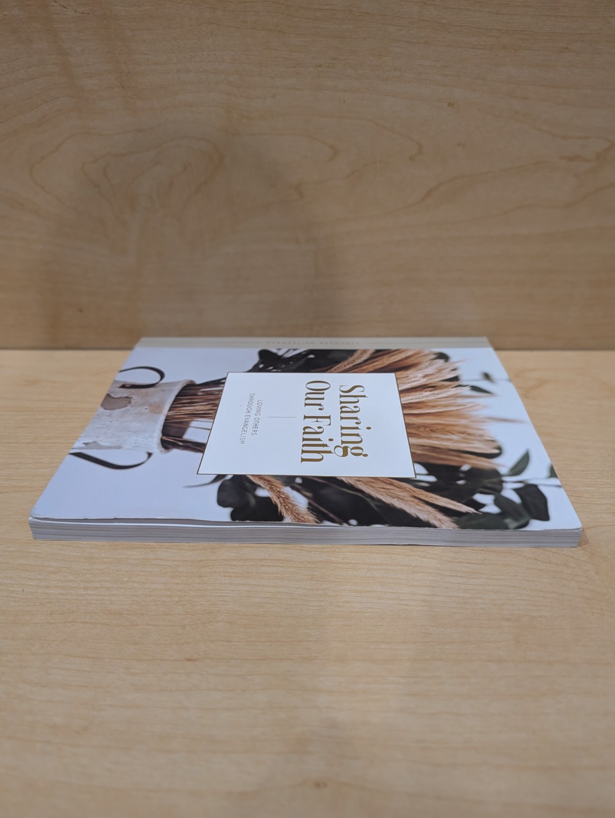 The Daily Grace Co. Sharing Our Faith (Paperback, Religion, Evangelism)