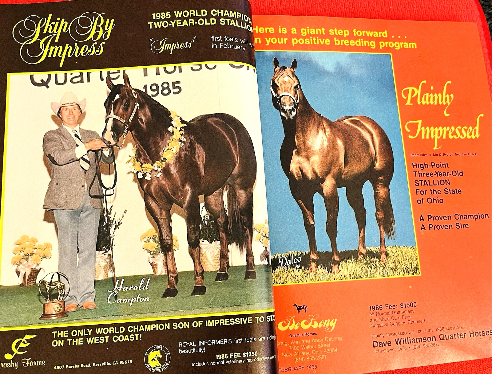 SALE ENDS 6/15! 1986 QUARTER HORSE JOURNAL Book – DYNAMIC DELUXE, ZAN PARR BAR