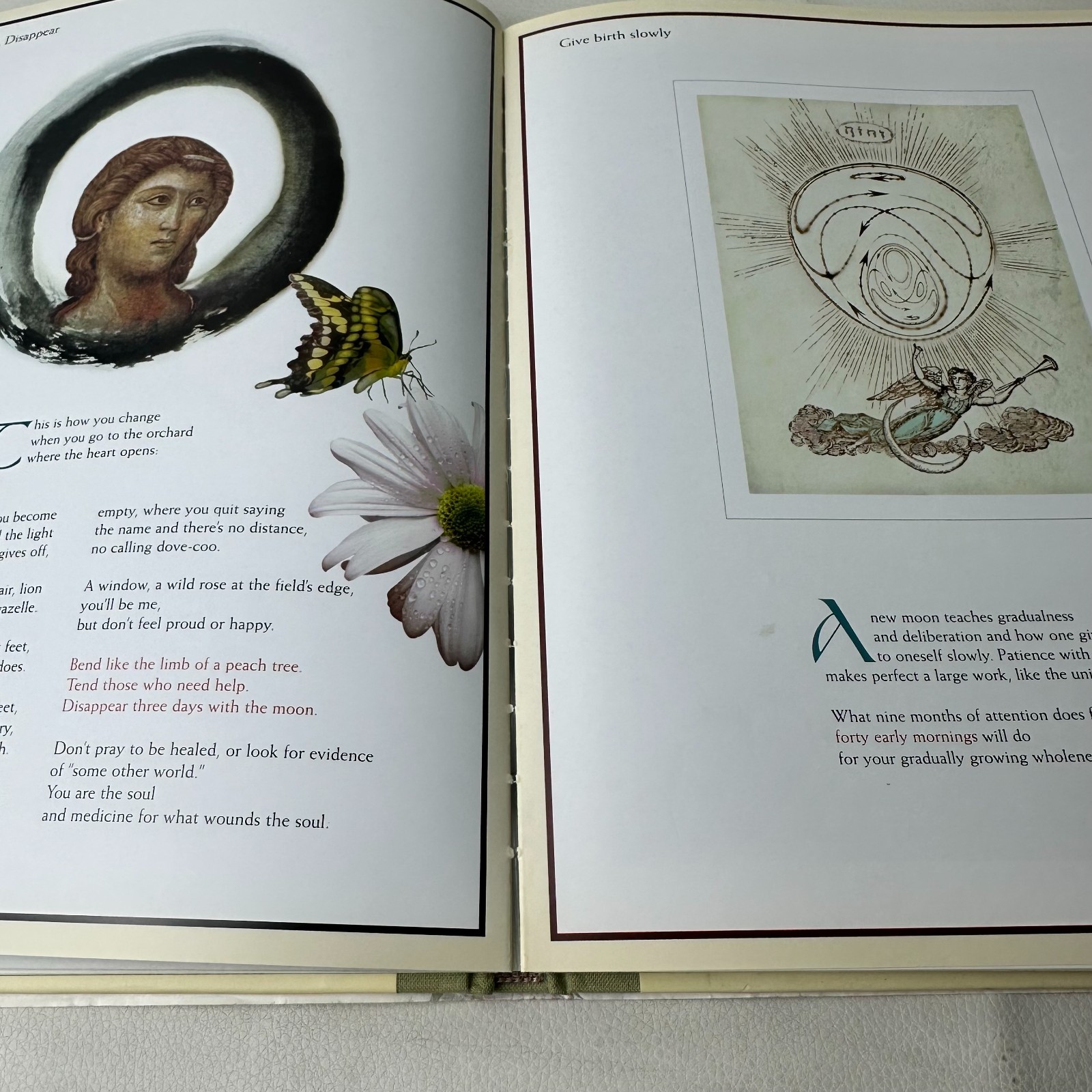 The Illuminated Rumi Jalal Al-Din Rumi 1997 First Edition Illustrated Hardcover