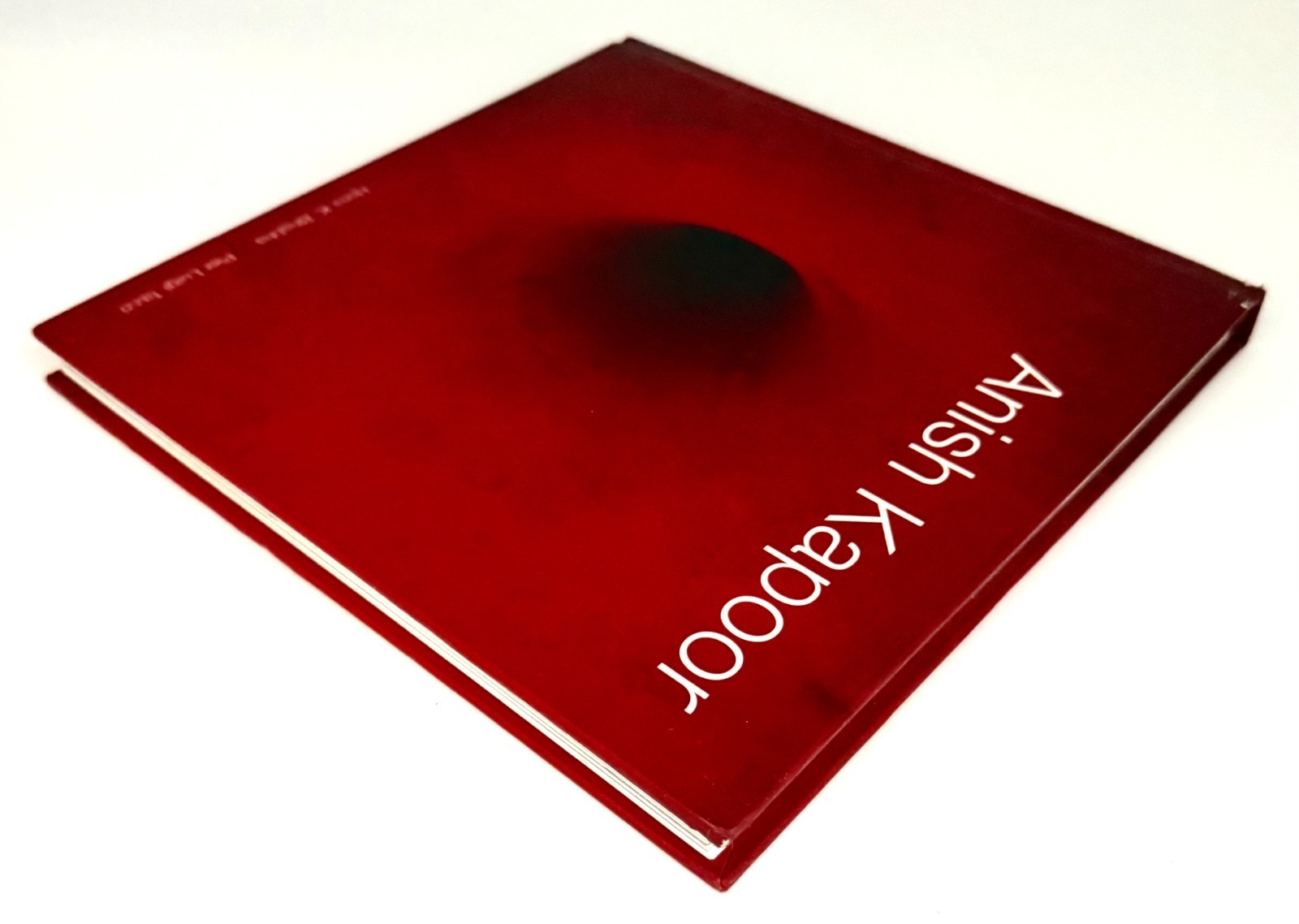 Anish Kapoor by Homi K. Bhabha and Anish Kapoor (1998, First Edition, Hardcover)