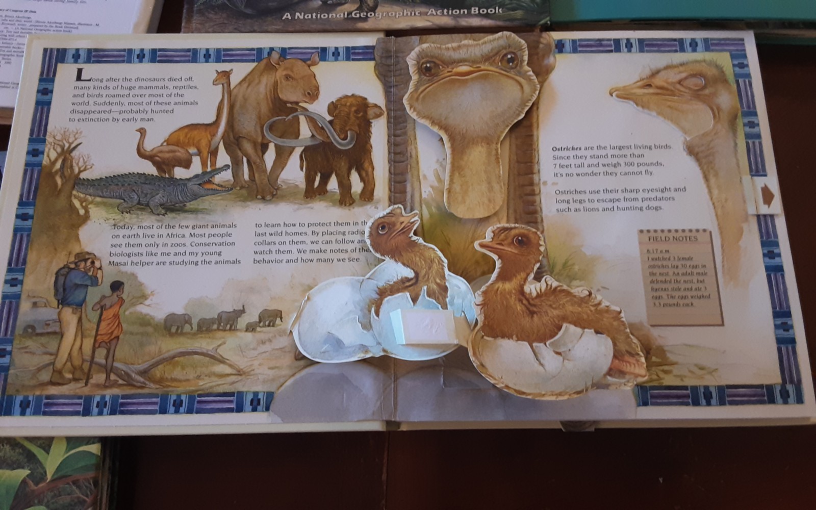 Dinosaurs National Geographic Action Book Lot 5 African Lion Australia Monkeys
