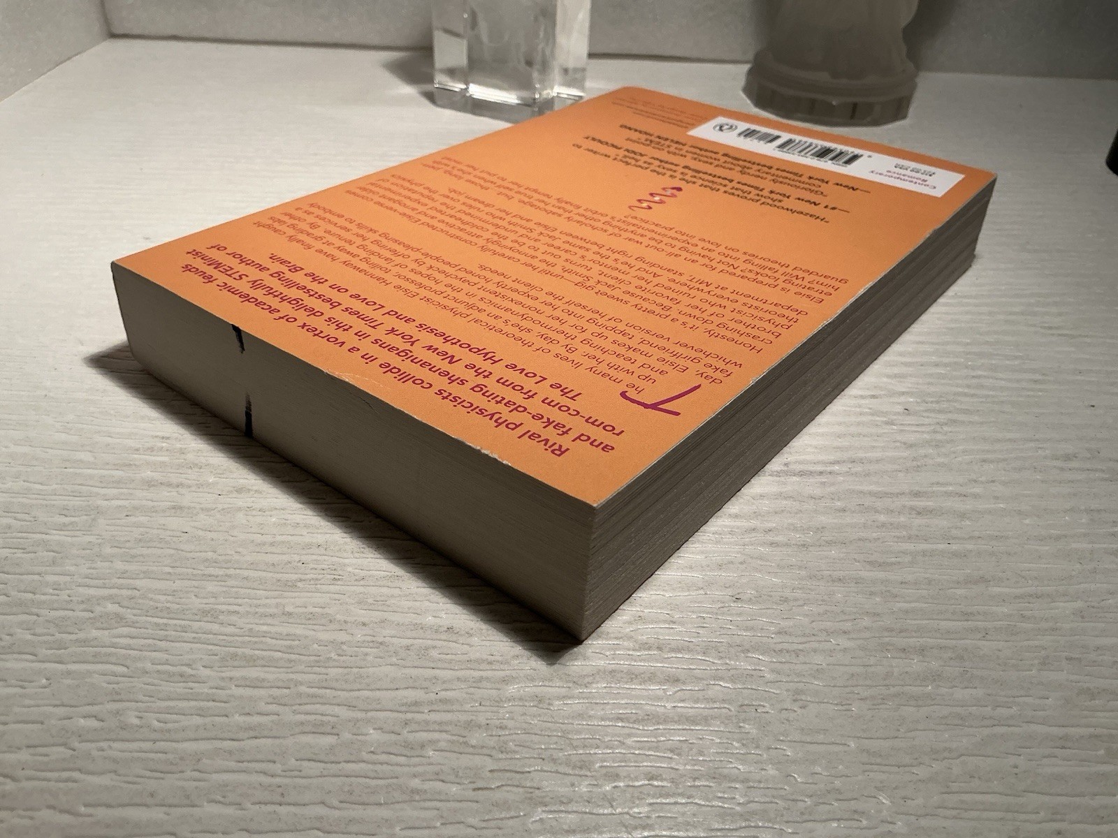 Love Theoretically A Novel By Ali Hazelwood Paperback Like New