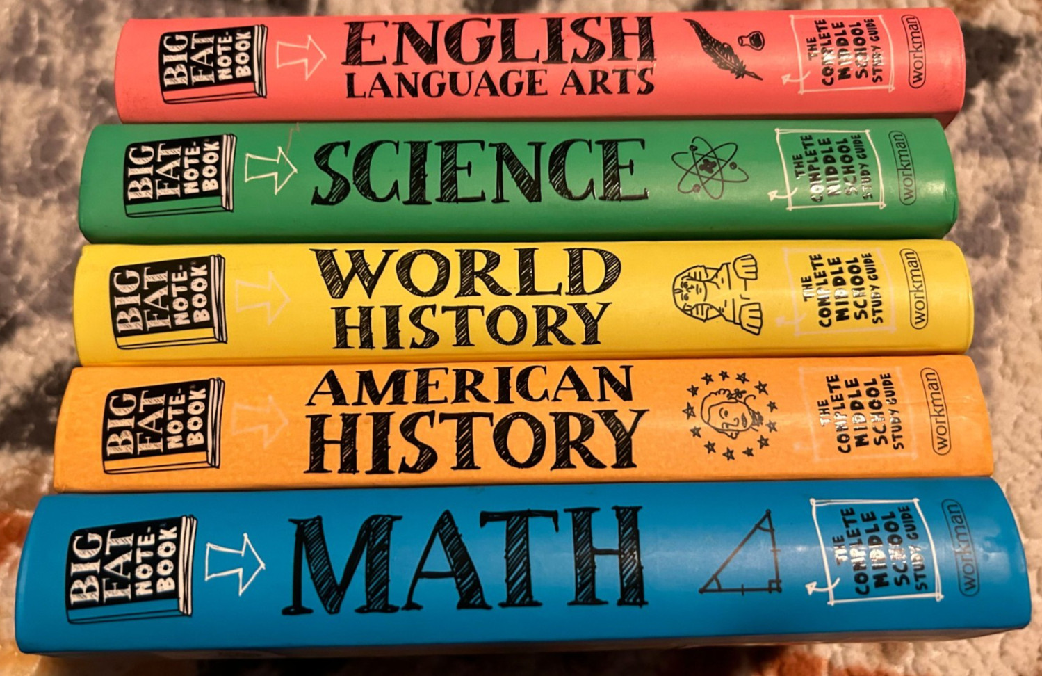 Everything You Need To Ace In One Big Fat Notebook 5 Book Lot Middle School