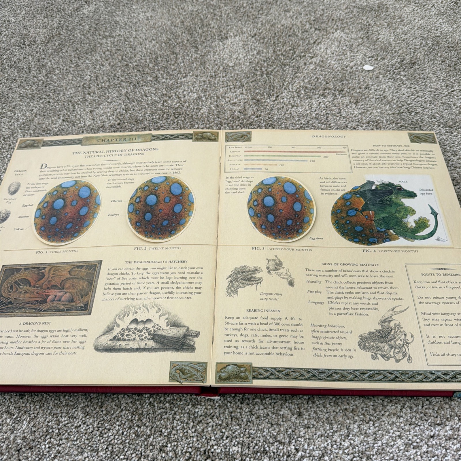 Ologies Ser.: Dragonology : The Complete Book of Dragons by Ernest Drake (2003,
