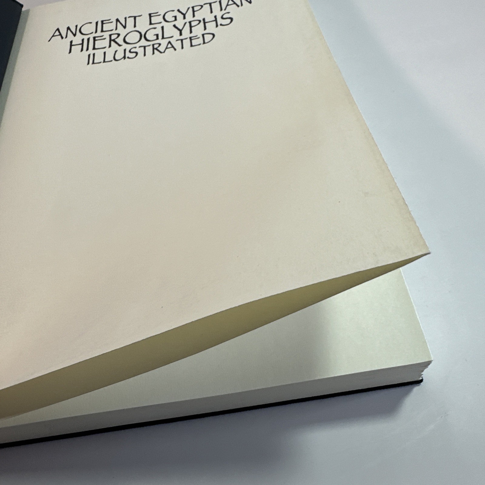 Ancient Egyptian Hieroglyphs Illustrated by Trevor Naylor 2025 Pr. Amber