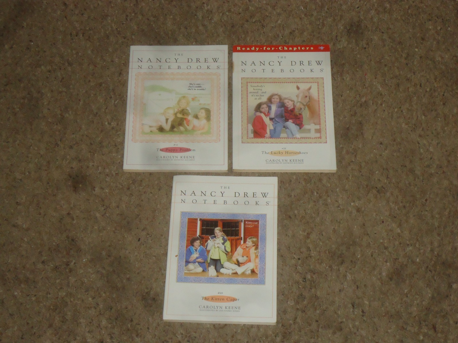 Lot 71 Nancy Drew PB Mystery Books Carolyn Keene