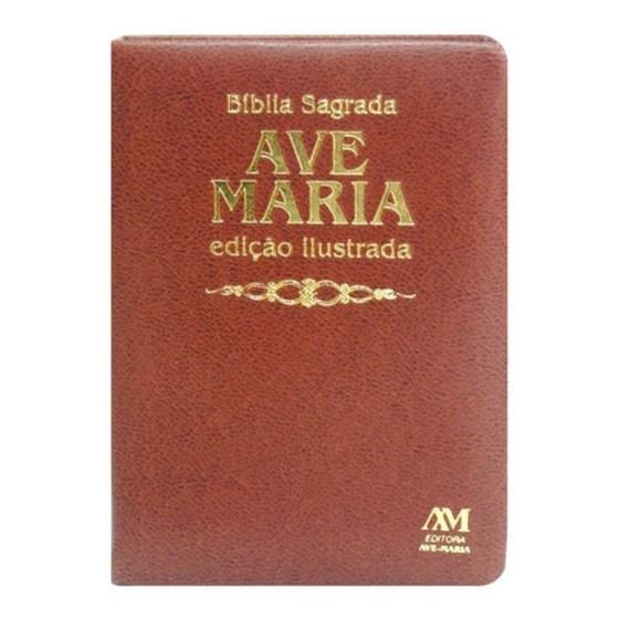 Biblia Sagrada: Edicao Ilustrada – Capa: Luxo (Em Portugues do Brasil)