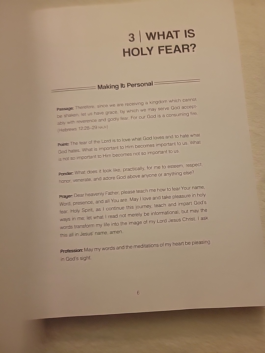 Awe of God Spiral Bound Work Book Bevere, John