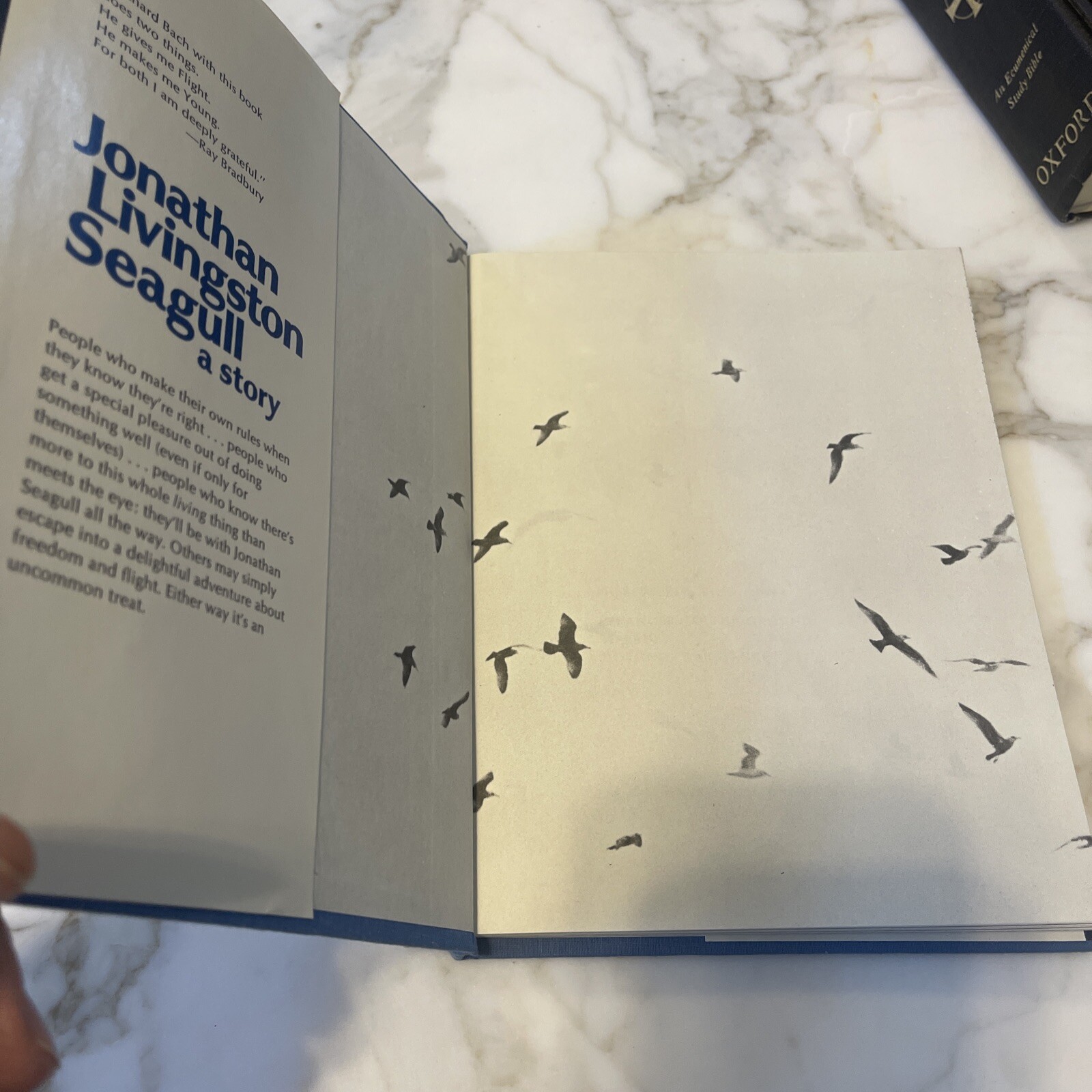 1970 VTG The Macmillan Company, by Richard Bach, Jonathan Livingston Seagull