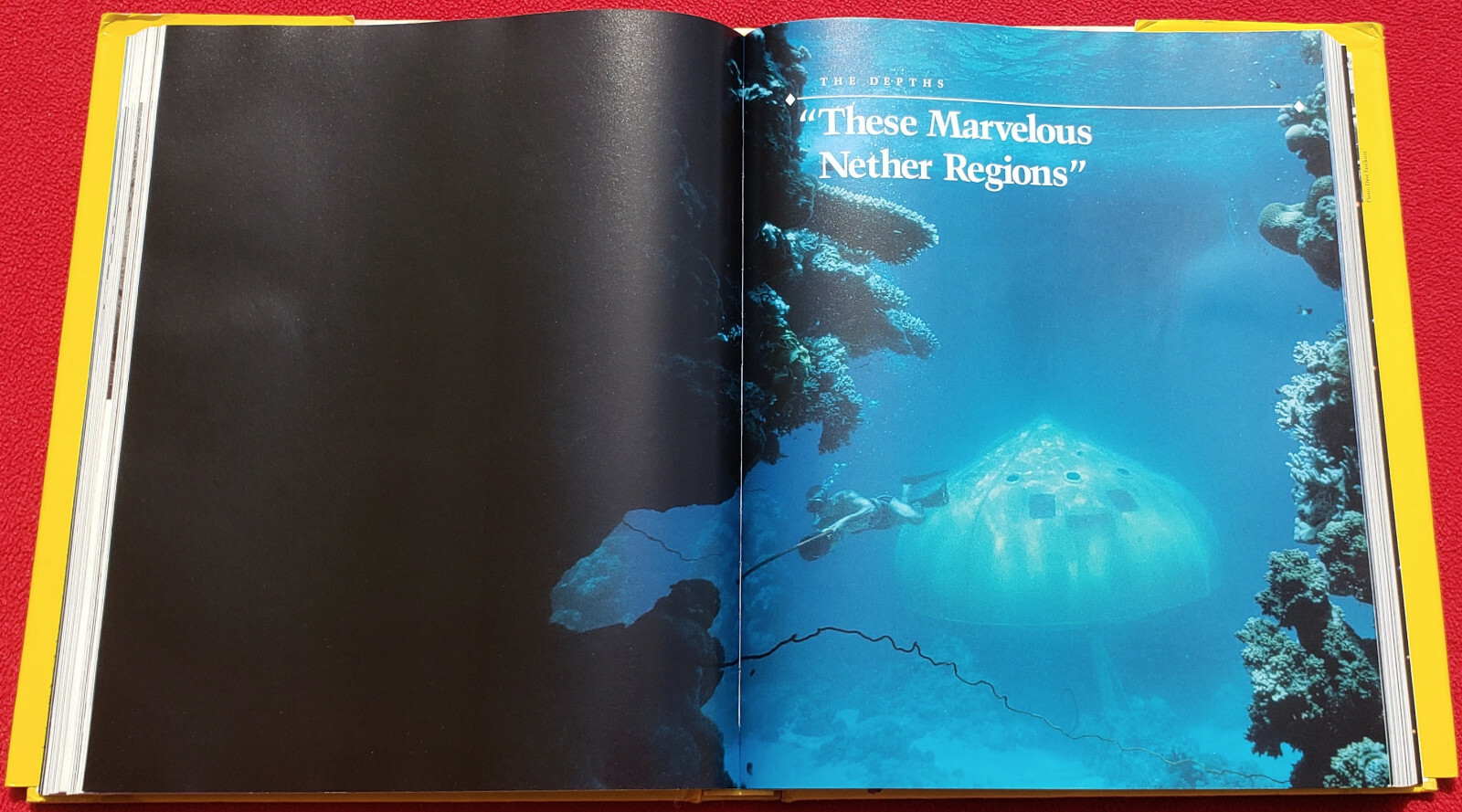The National Geographic Society 100 Years Of Adventure And Discovery 480 Pages
