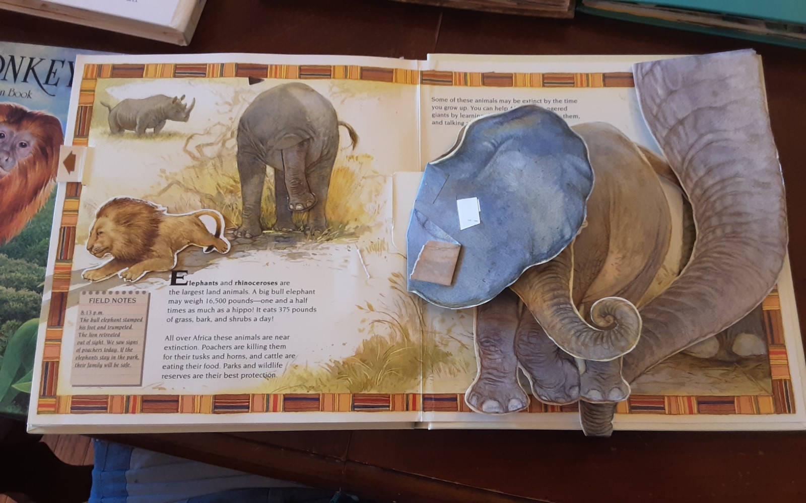 Dinosaurs National Geographic Action Book Lot 5 African Lion Australia Monkeys