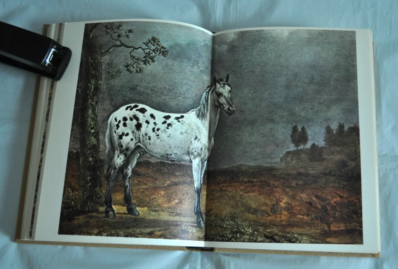 French Edition Belles Histoires de Chevaux Beautiful Horse Stories Book 1972
