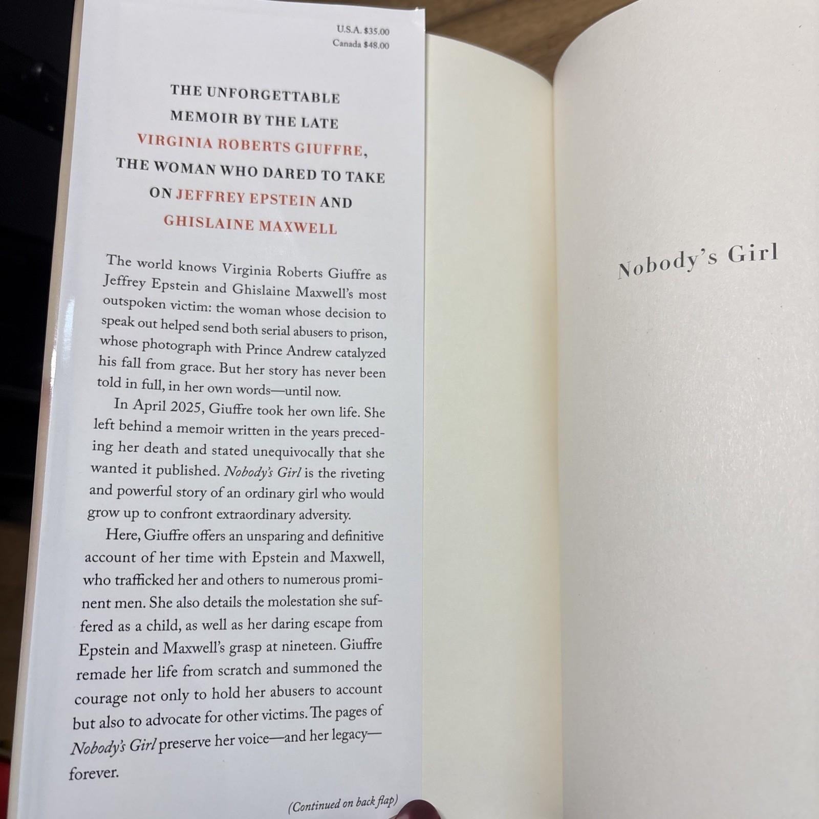 Nobody’s Girl : A Memoir of Surviving Abuse and Fighting for Justice by Virginia