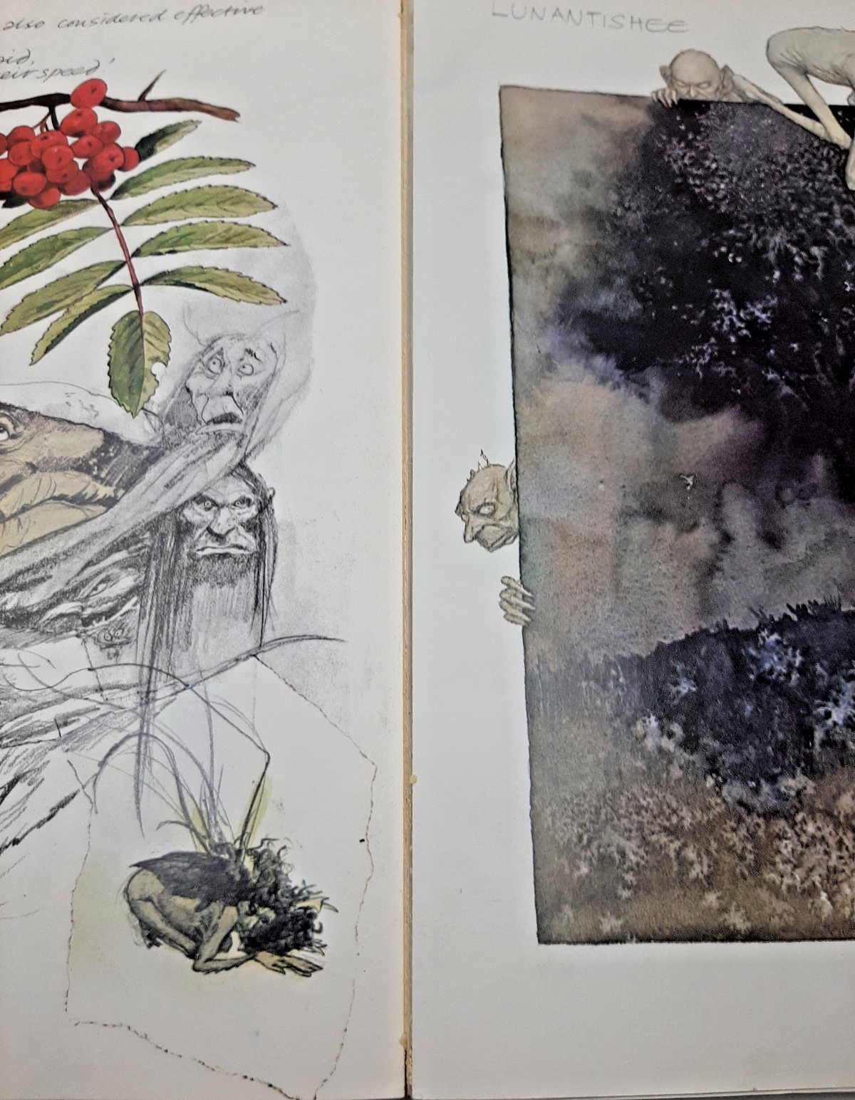 Vintage Faeries Book 1978 First Edition Printing Brian Froud Mythical Fairy Art