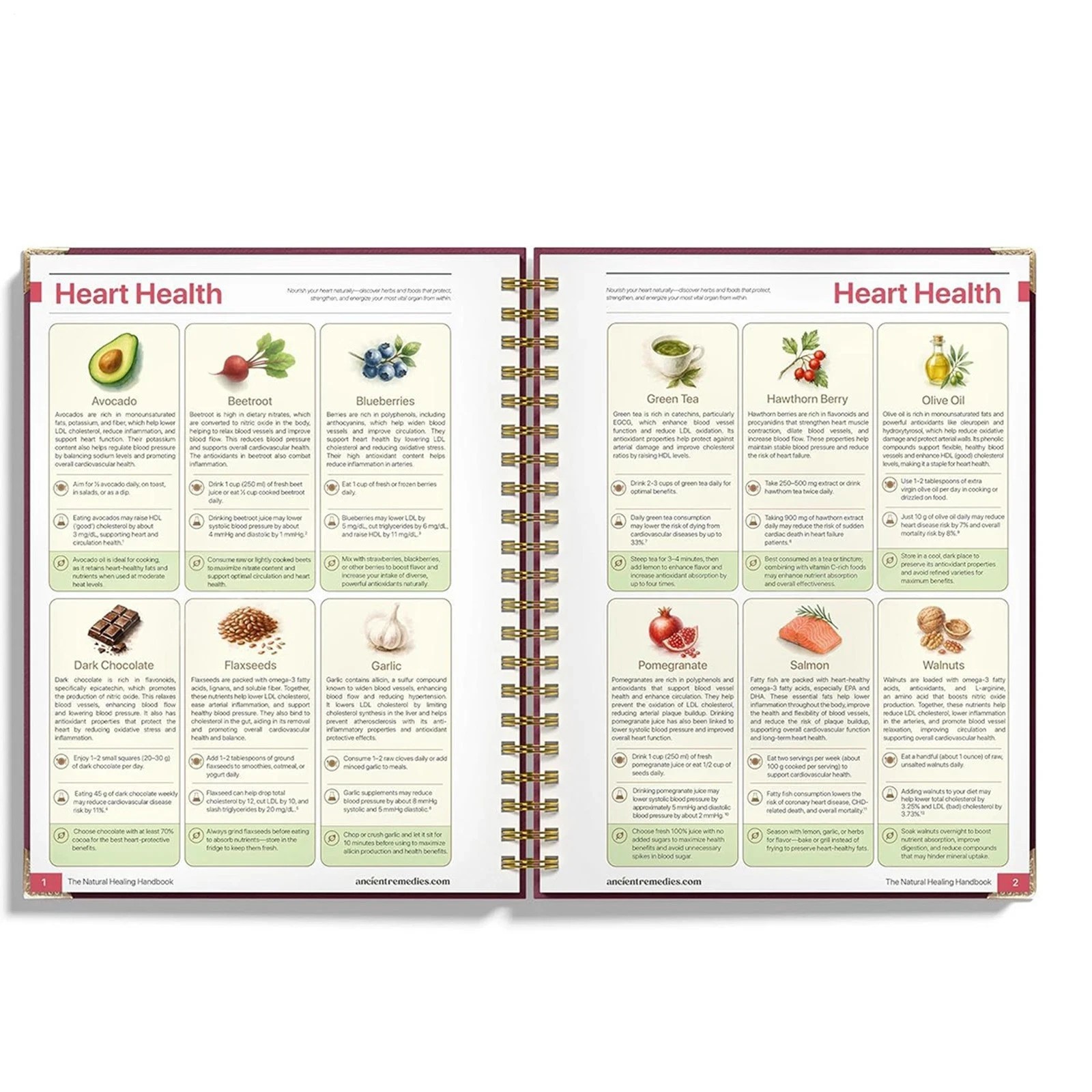 The Natural Handbook Bound For Herbal Remedies And Natural Recipes By Ancient TL