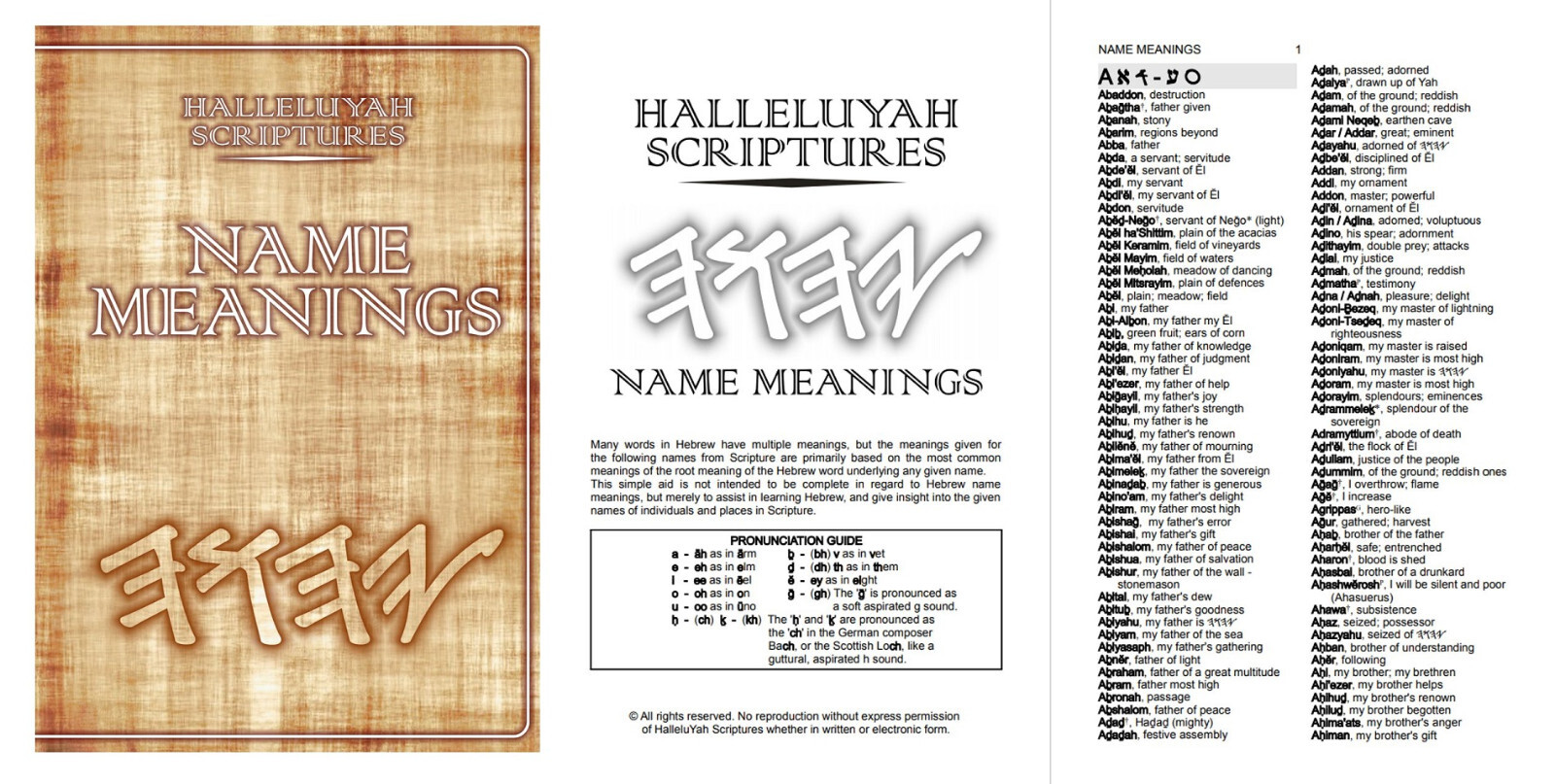 HalleluYah Scriptures Genuine Leather Large Print & Extra Books