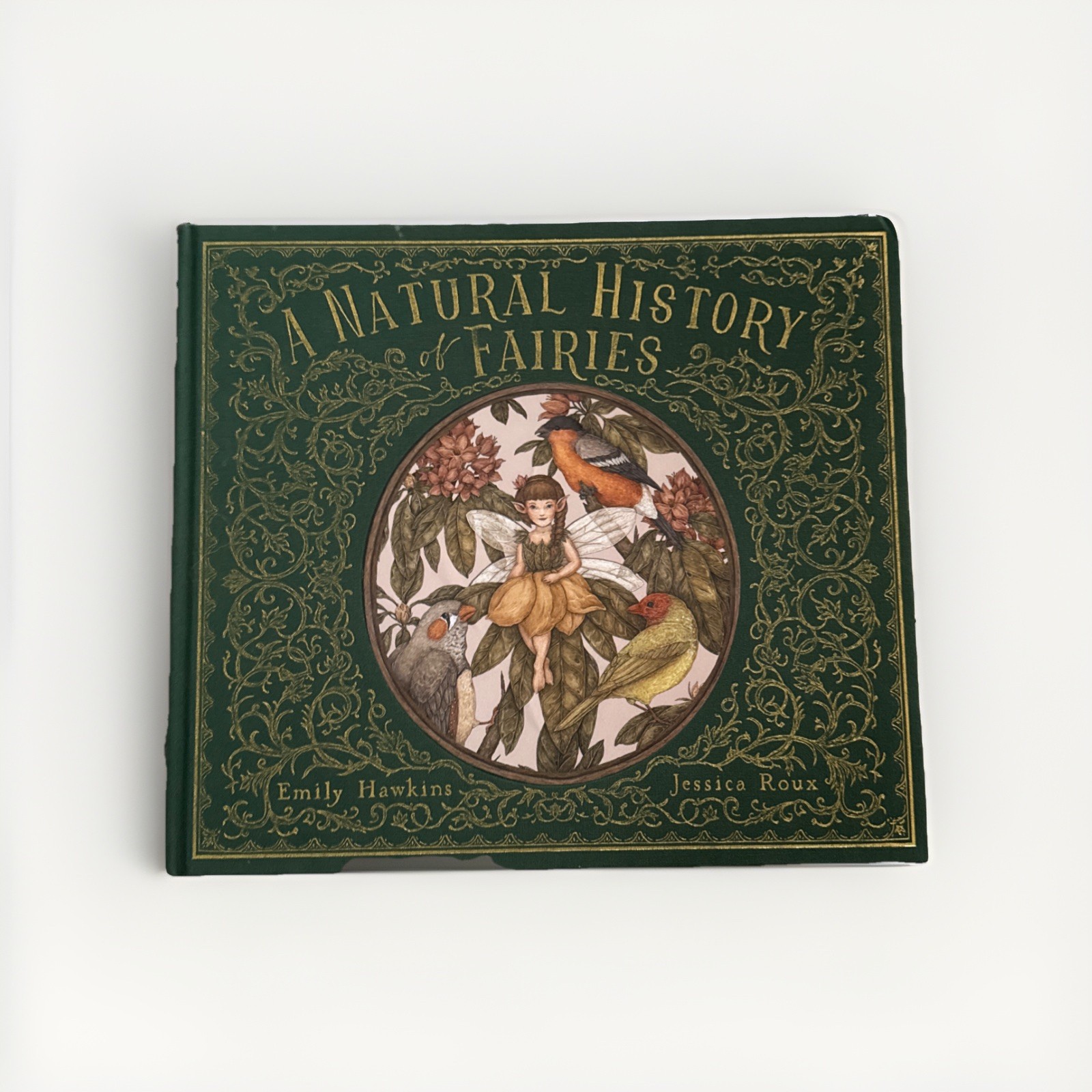 Natural History of Fairies by Emily Hawkins (2020, Hardcover)