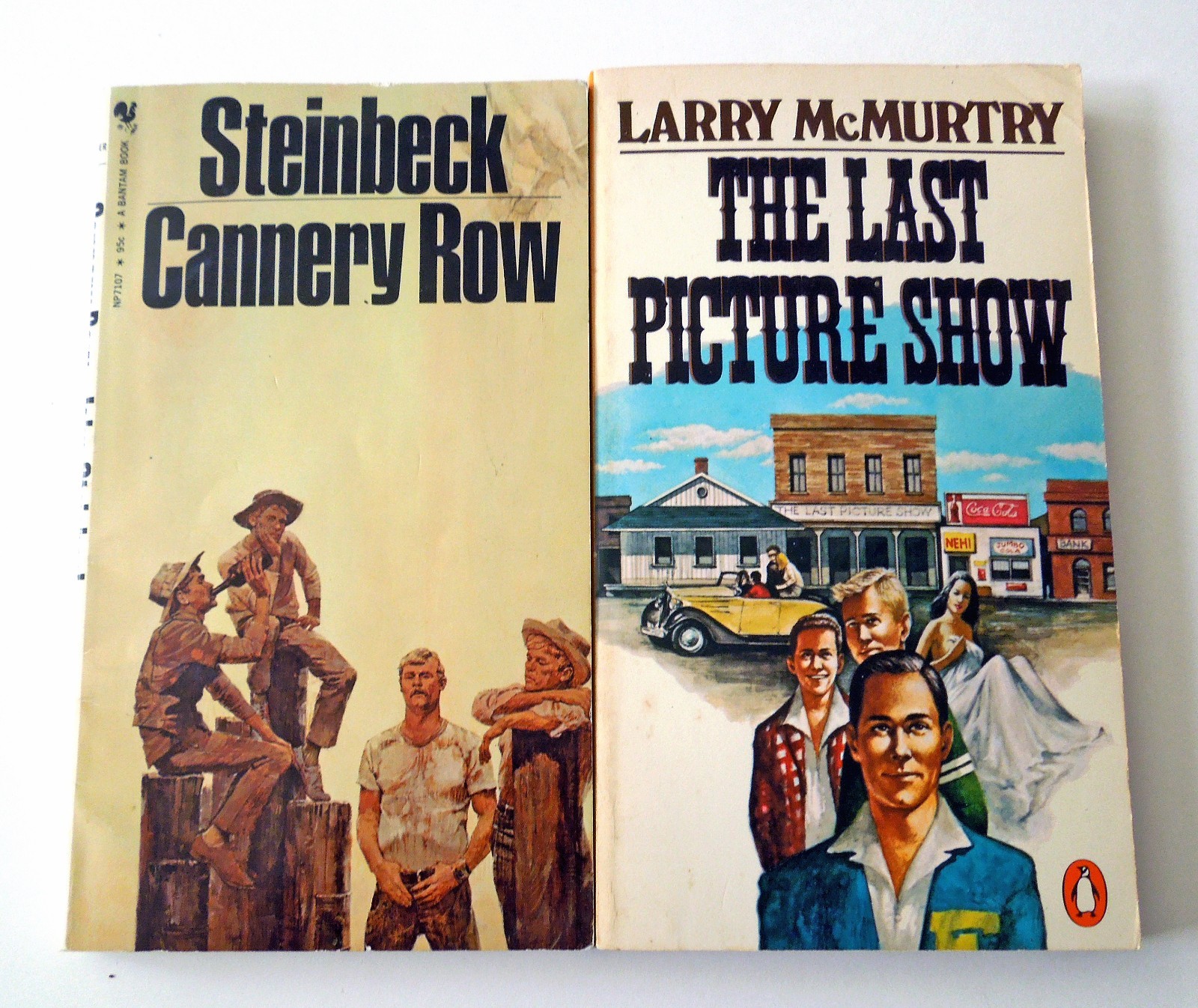 Lot of 20 Vintage 1970s Fiction Pocketbooks: Snow Bound, Being There, +18
