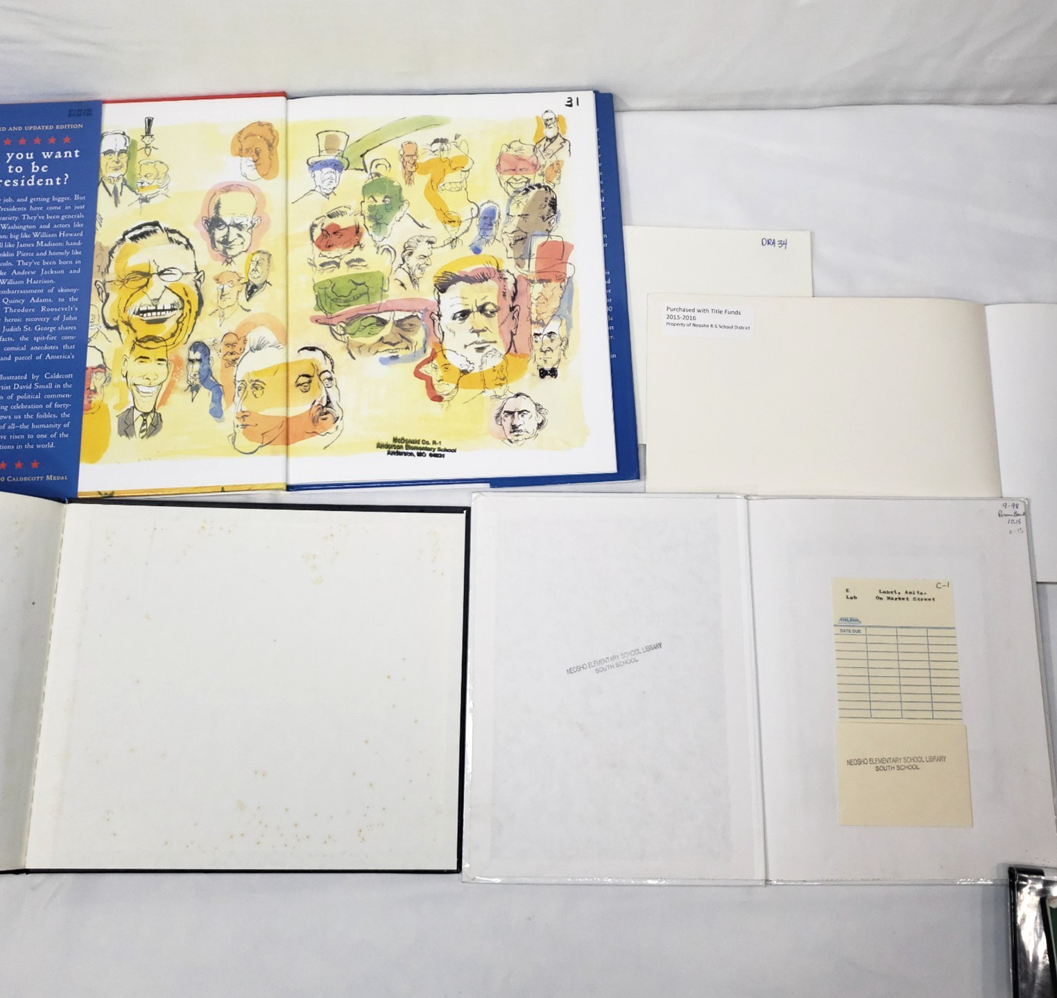 Caldecott Kids Picture Books Lot 10 Homeschool Classroom Library Award Winners