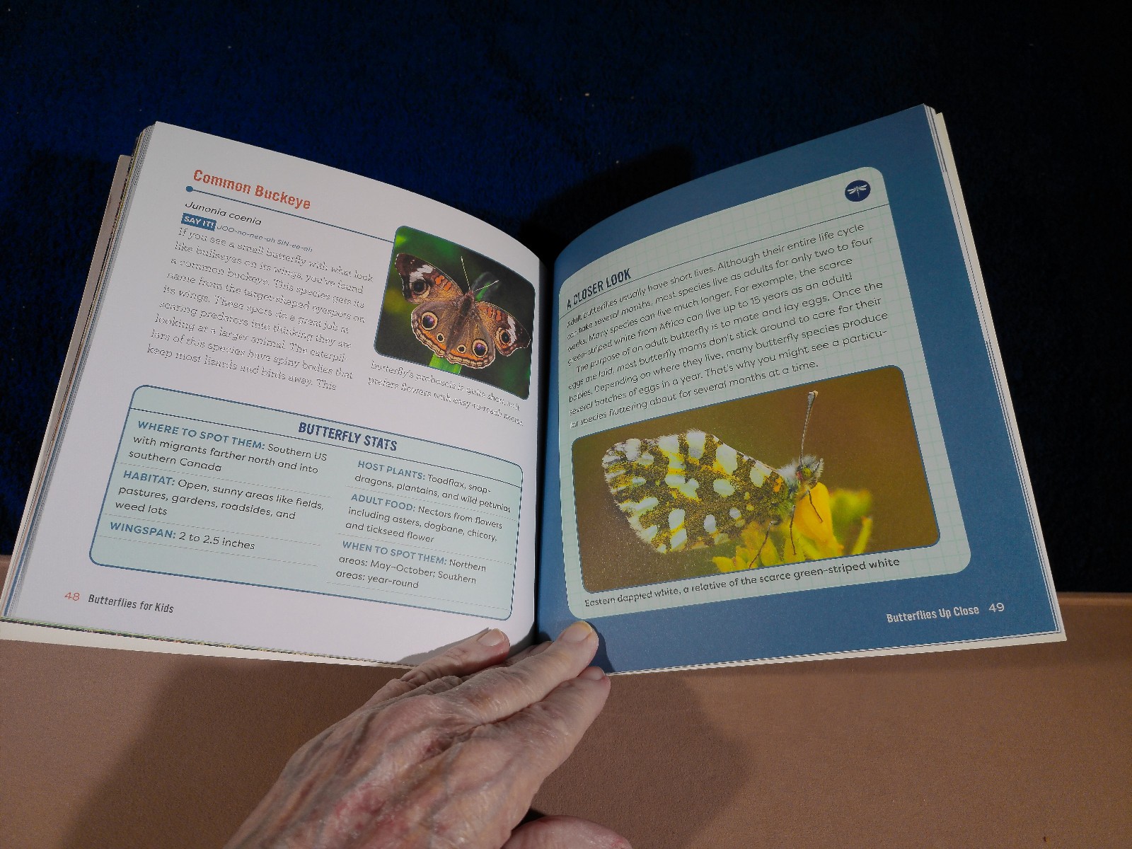 BUTTERFLIES FOR KIDS AGE6-9 JUNIOR SCIENTIST’S GUIDE 72 PAGES 2021