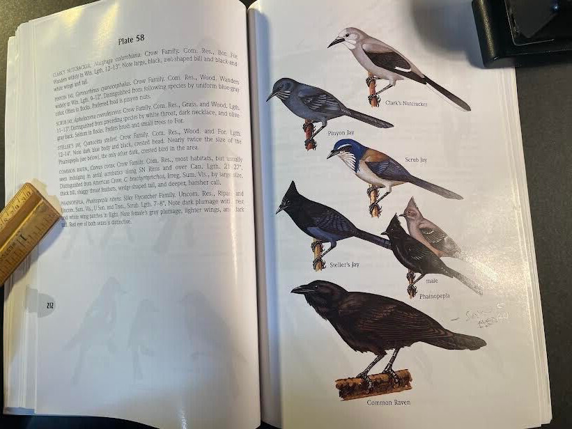 A Field Guide to the Grand Canyon by Whitney. 2nd edition. 269 pages. good cond.