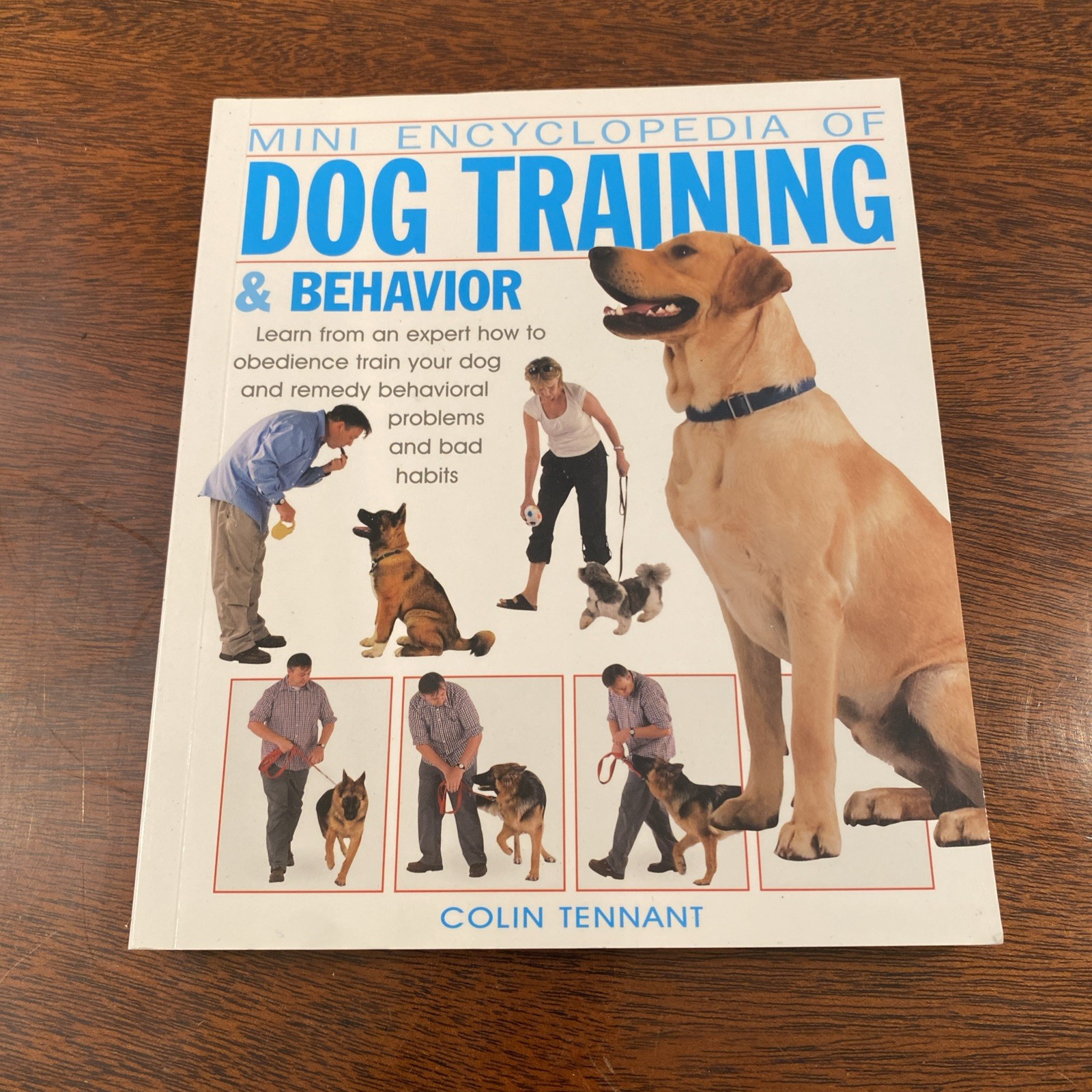 Dog Training & Behavior (Mini Encyclopedia Ser.) – Paperback – VERY GOOD