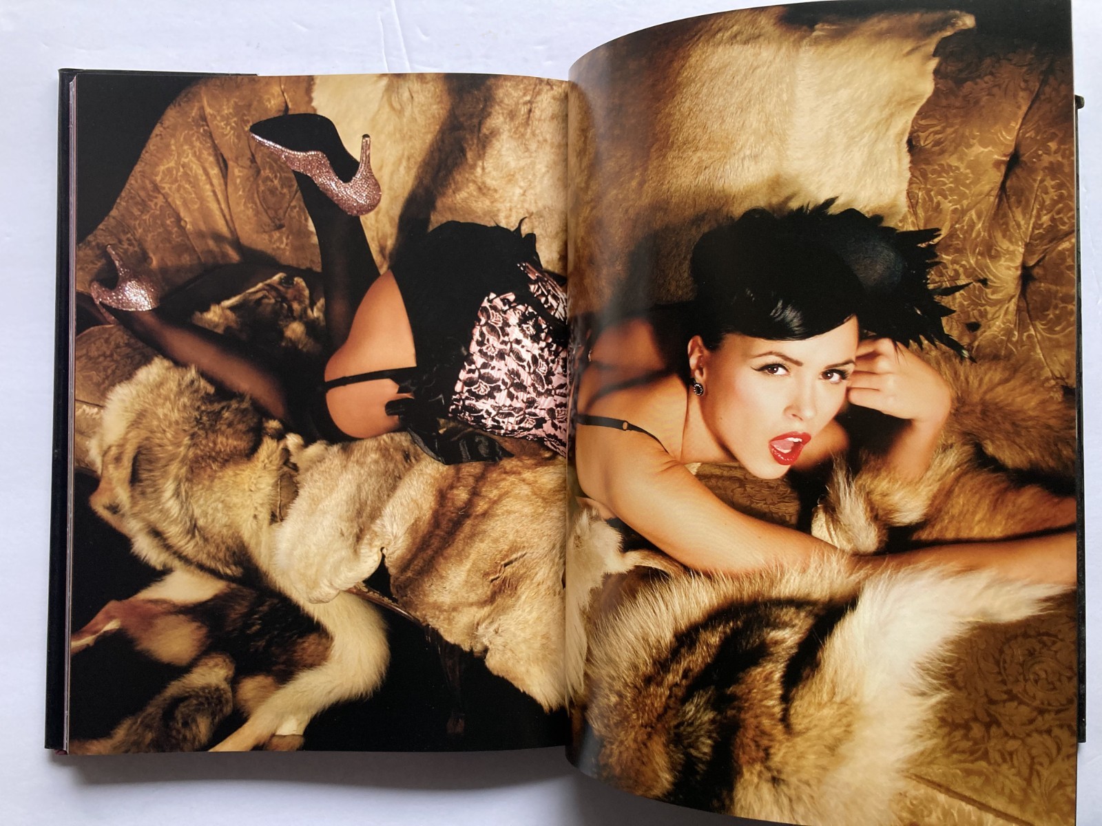 VIVA’S PINUPS – BULLET BRAS AND BACKSEAT BETTIES / VIVA VAN STORY / HARDBOUND