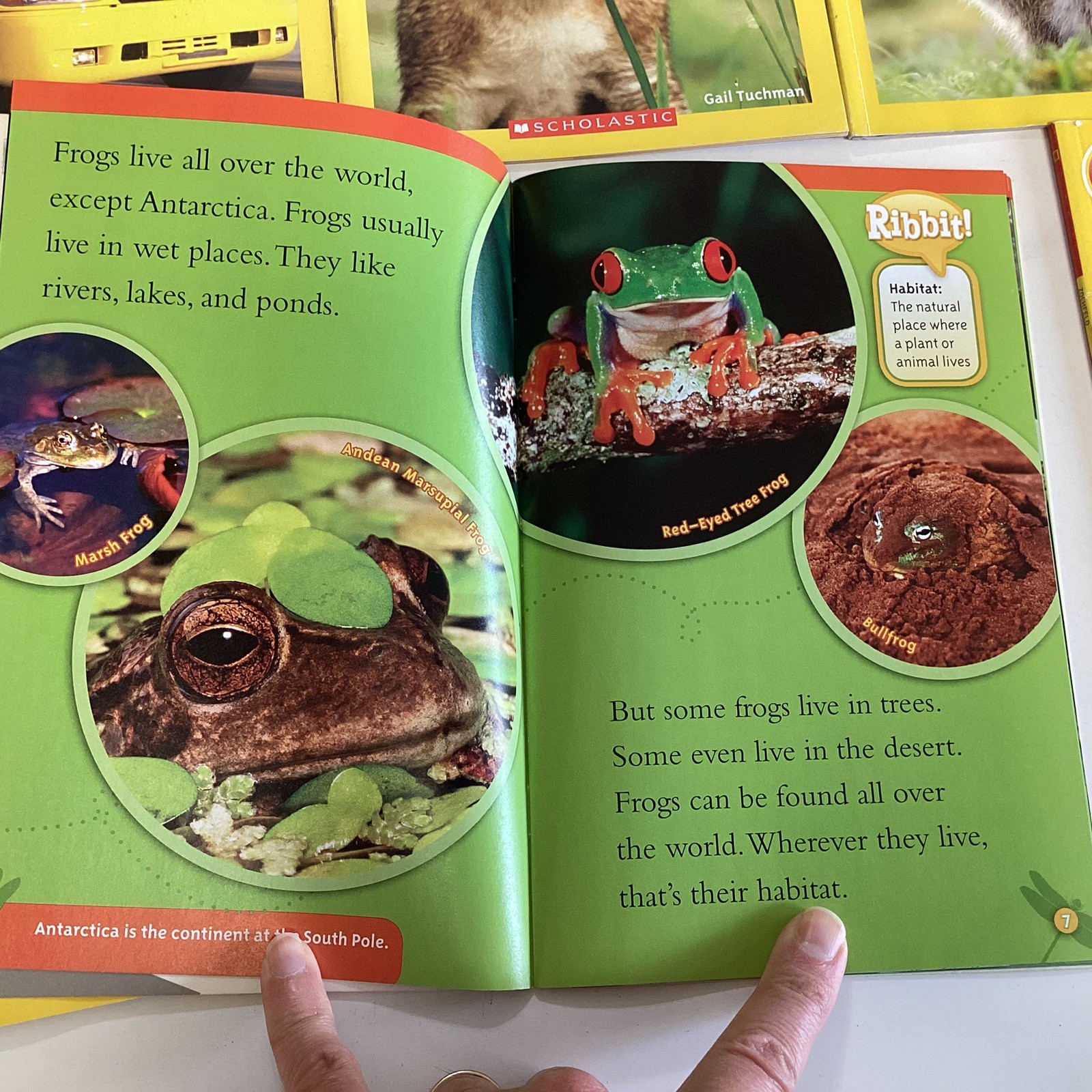 National Geographic Pre Level 1 & 2 Readers Kindergarten 1st Grade 14 Book Lot