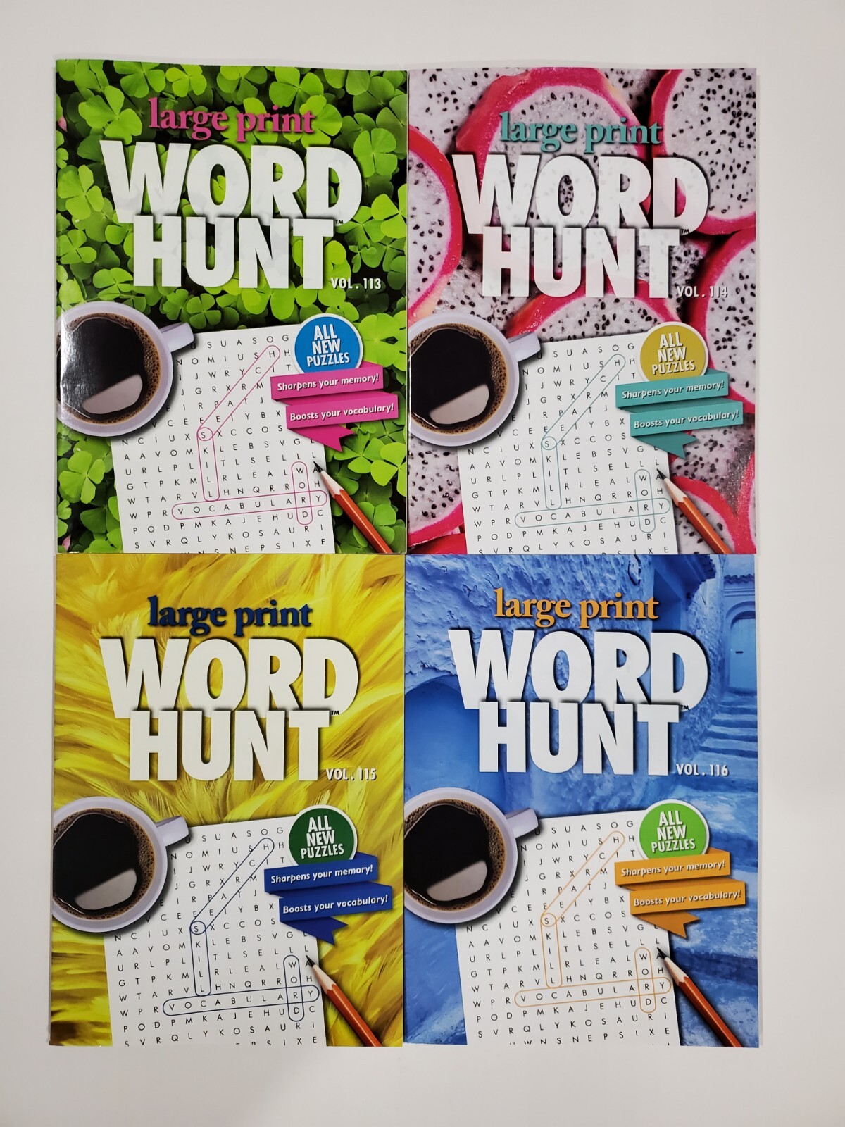 Large Print Word Hunt Puzzle Books Papp Search,Find,Game,Hobby Pick up to 20Vols